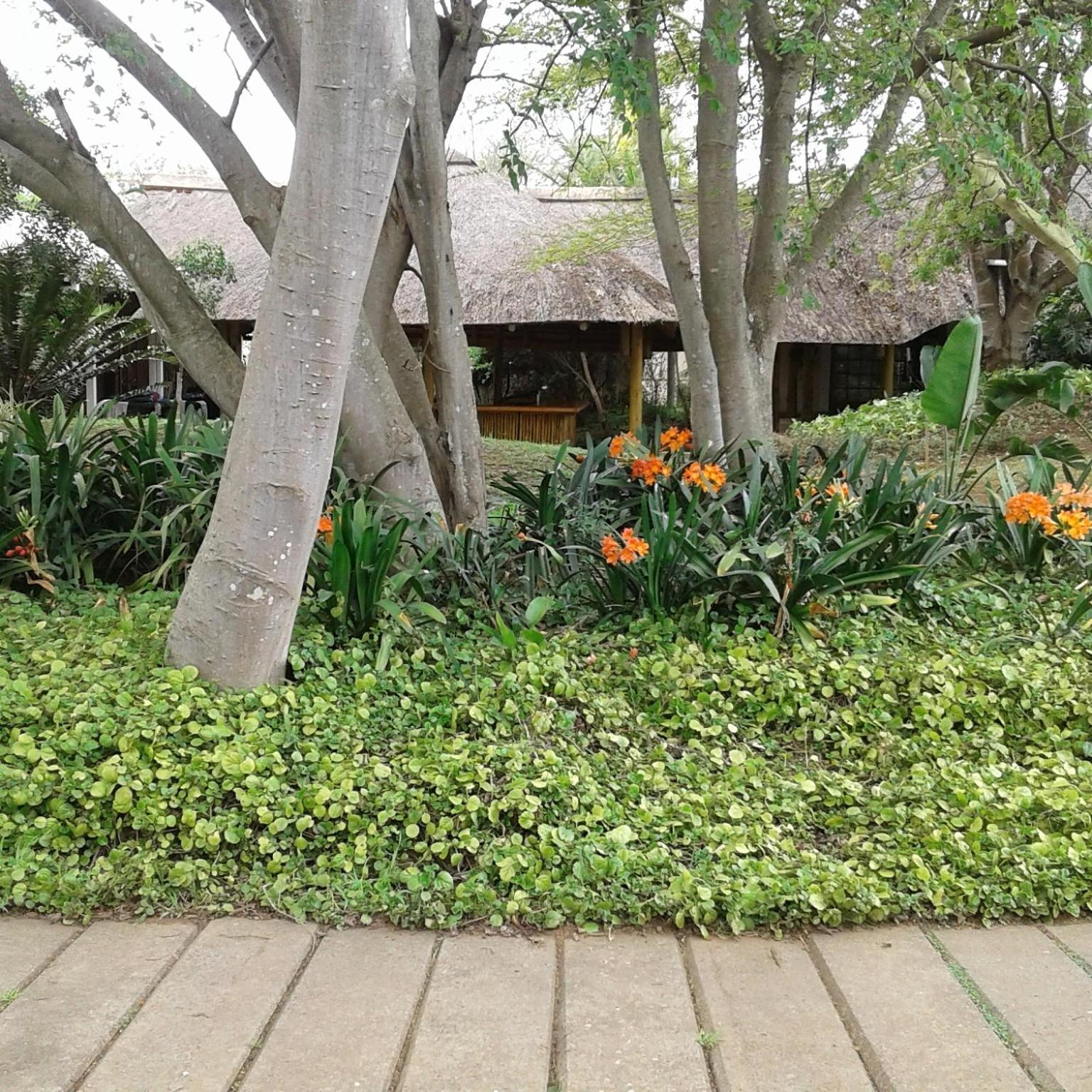 Ascot Inn