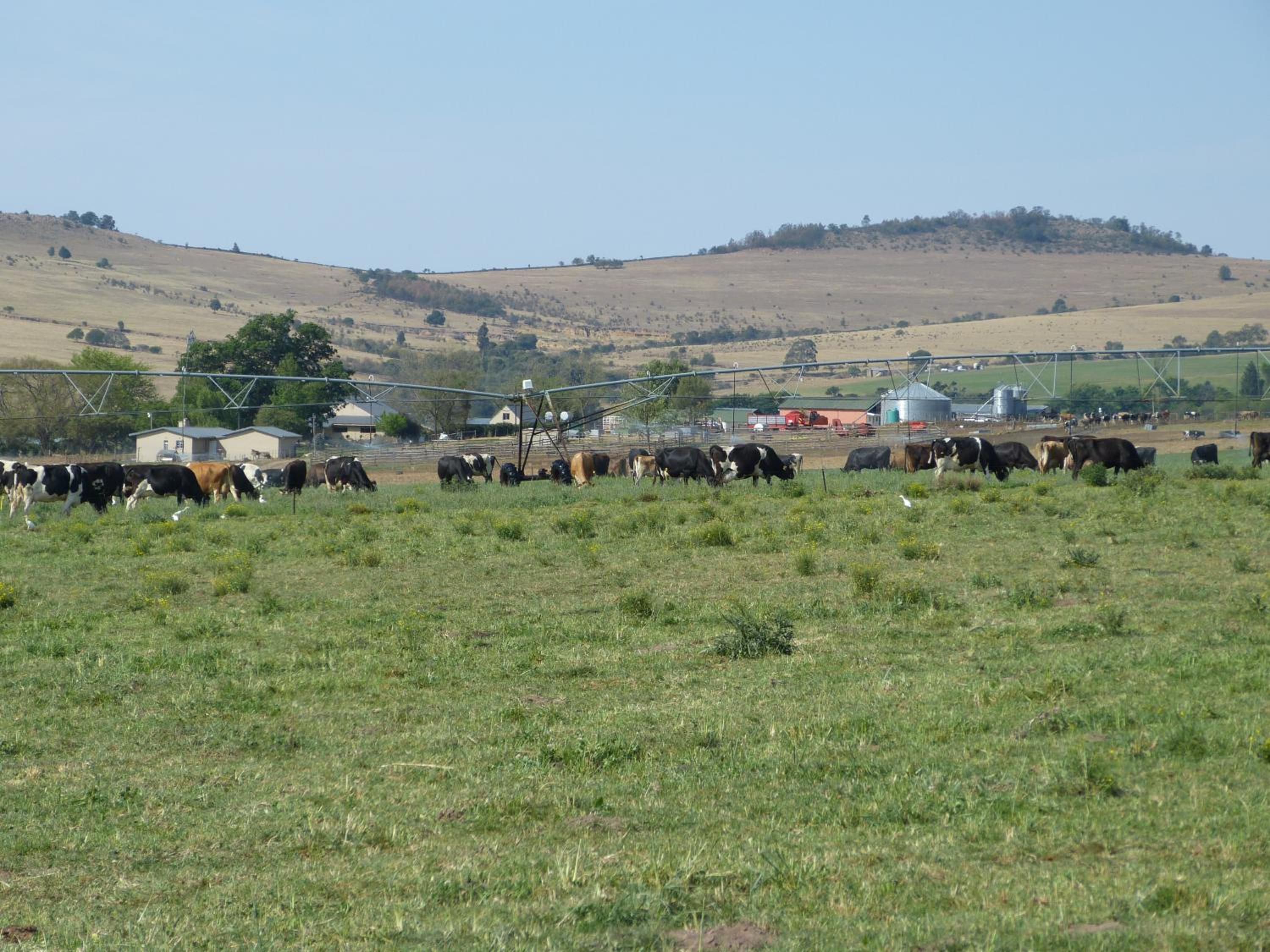 Photo 158