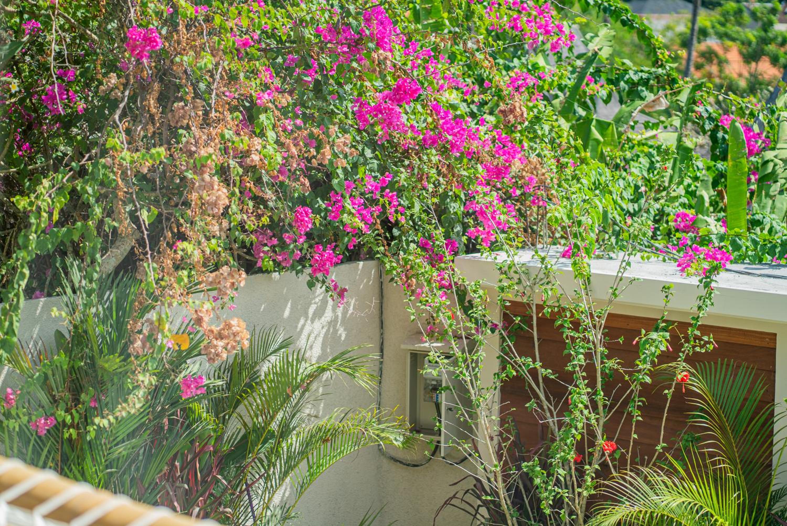 Villa Melao - 3BR Villa in Kerobokan
