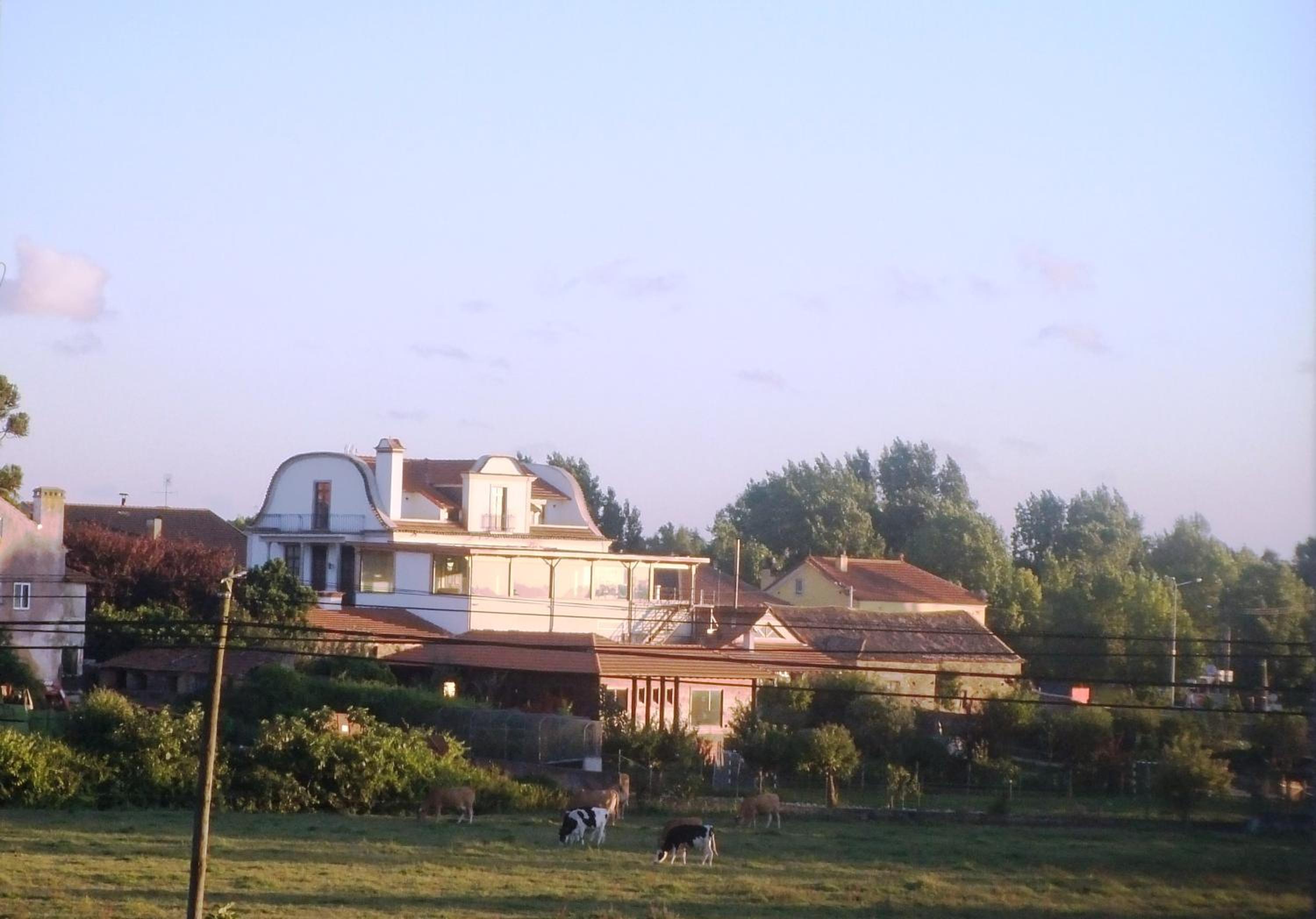 Photo 33