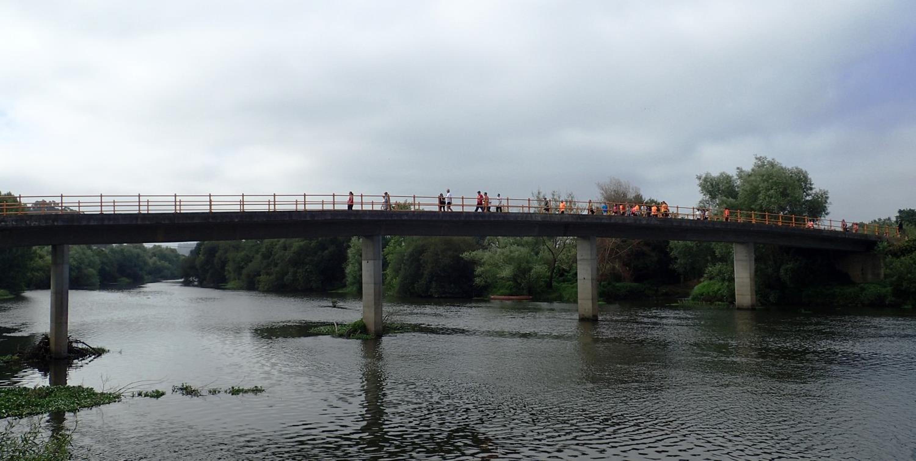 Photo 45