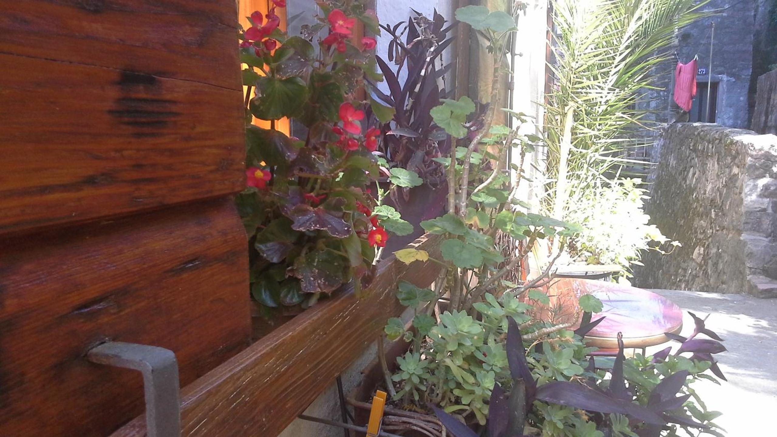 Photo 33