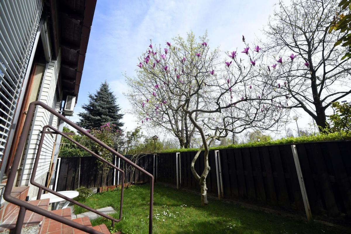 Garden Apartment view 4