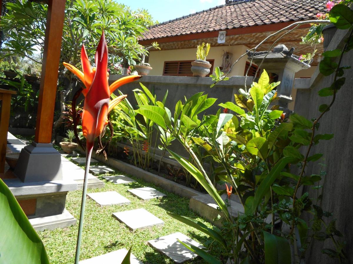 Photo 29