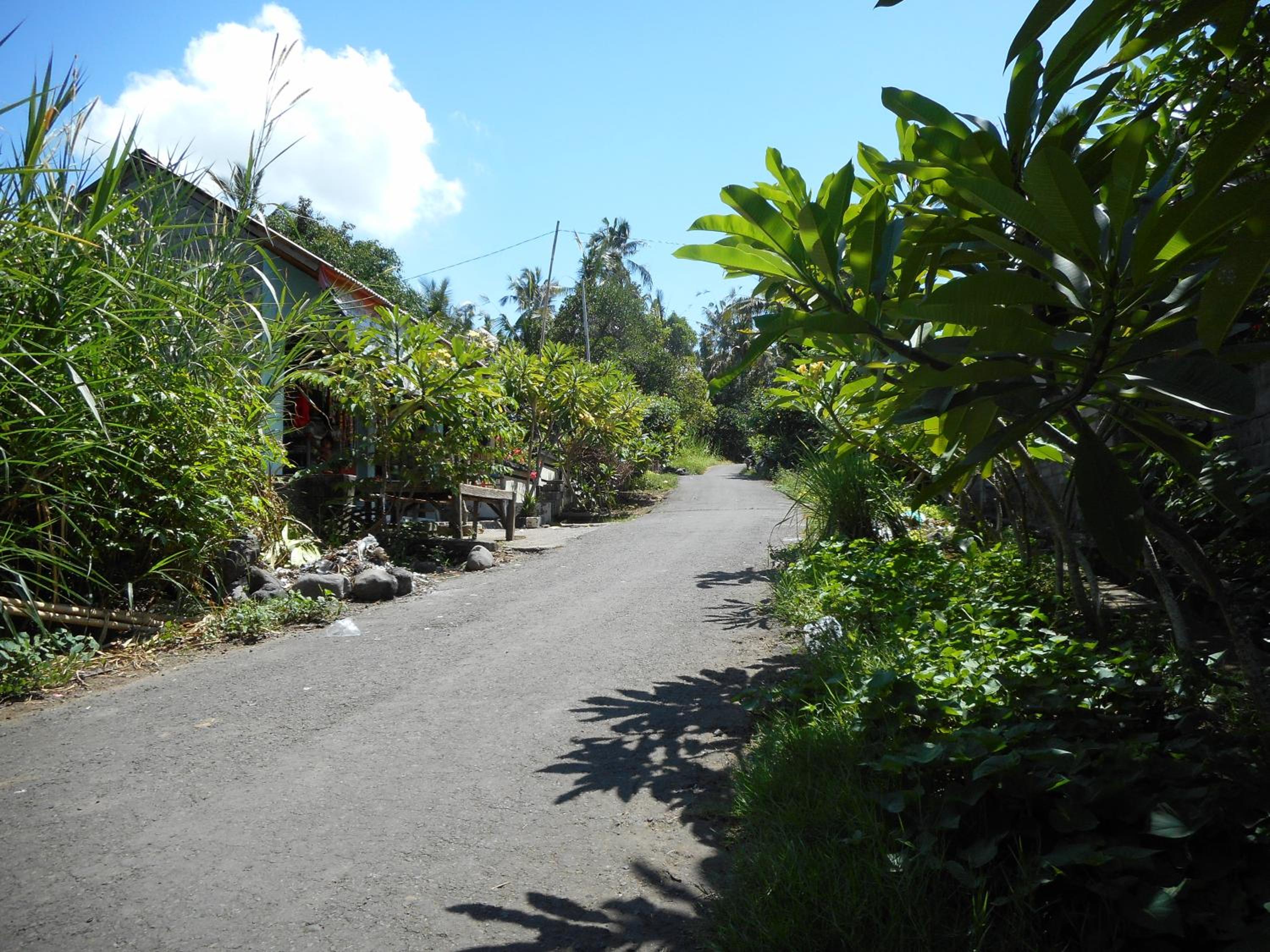 Photo 43