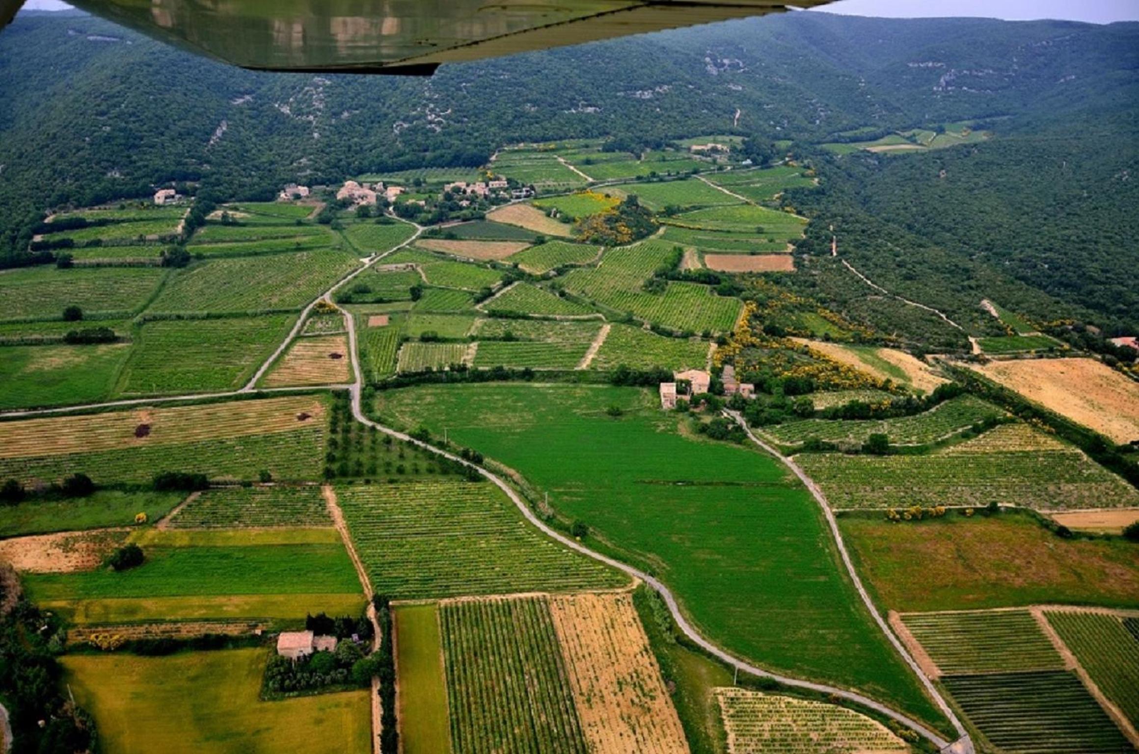 Photo 28