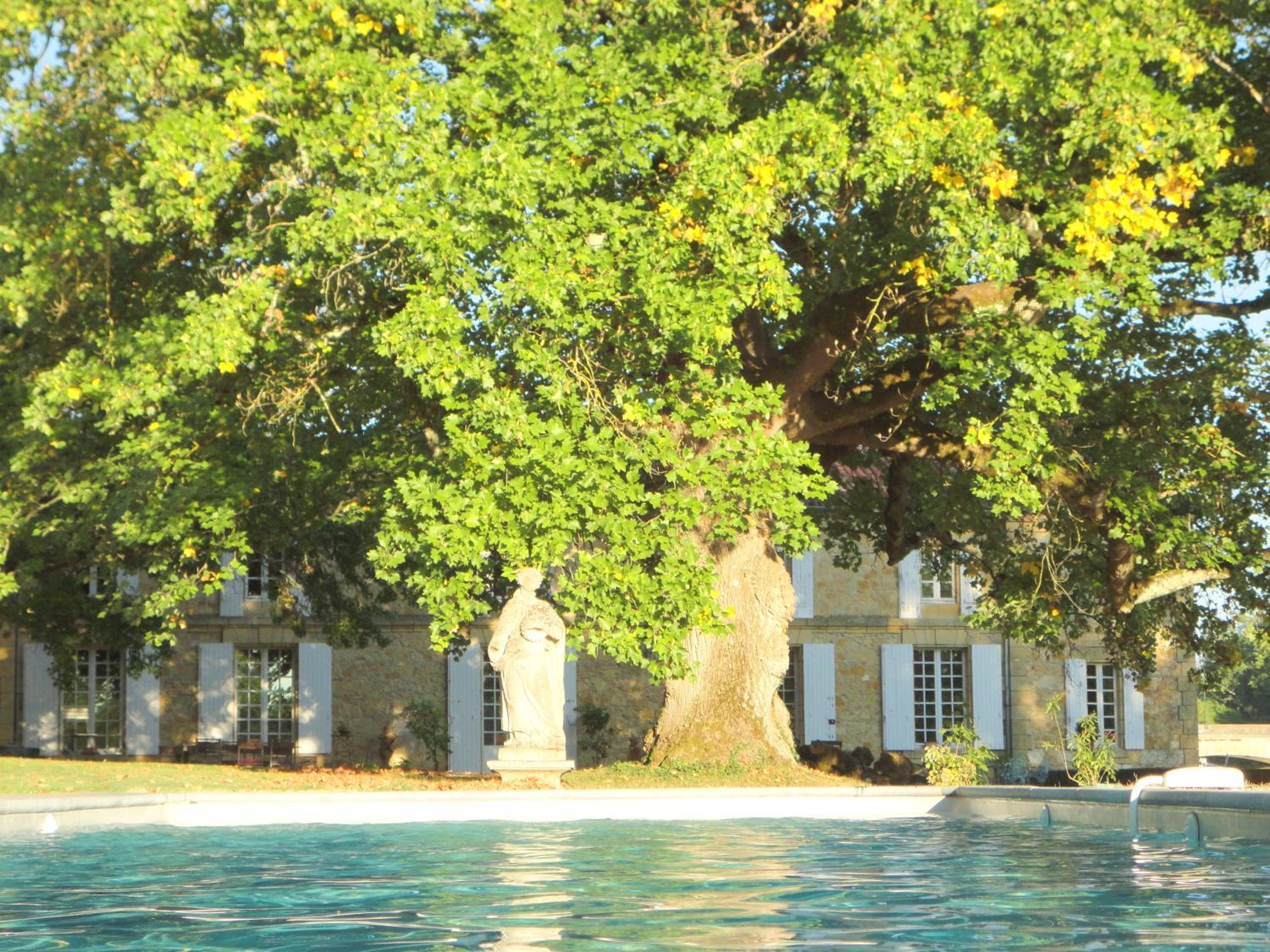 La Rebière d'Or, B&B et Gîte