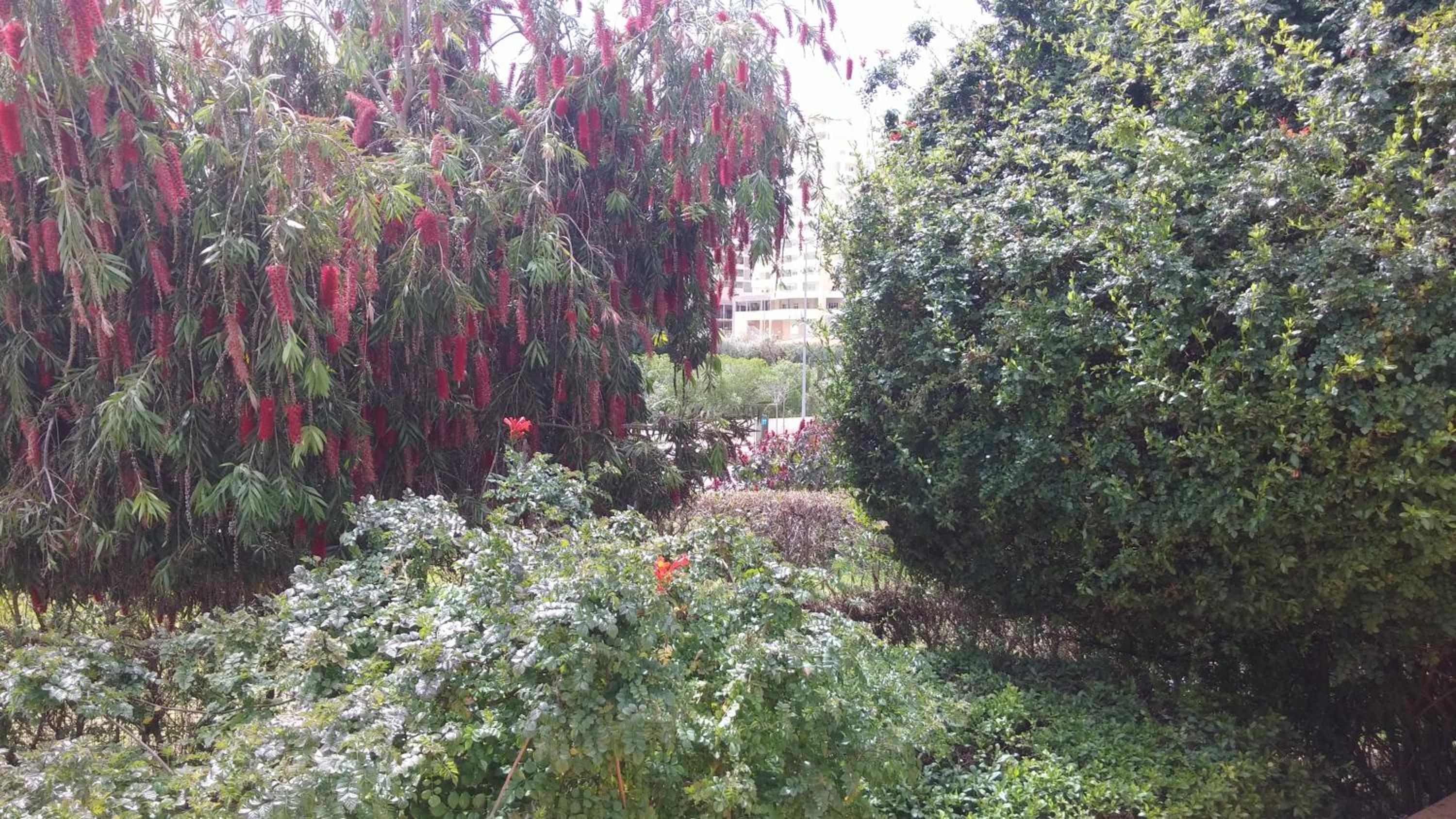 Photo 24