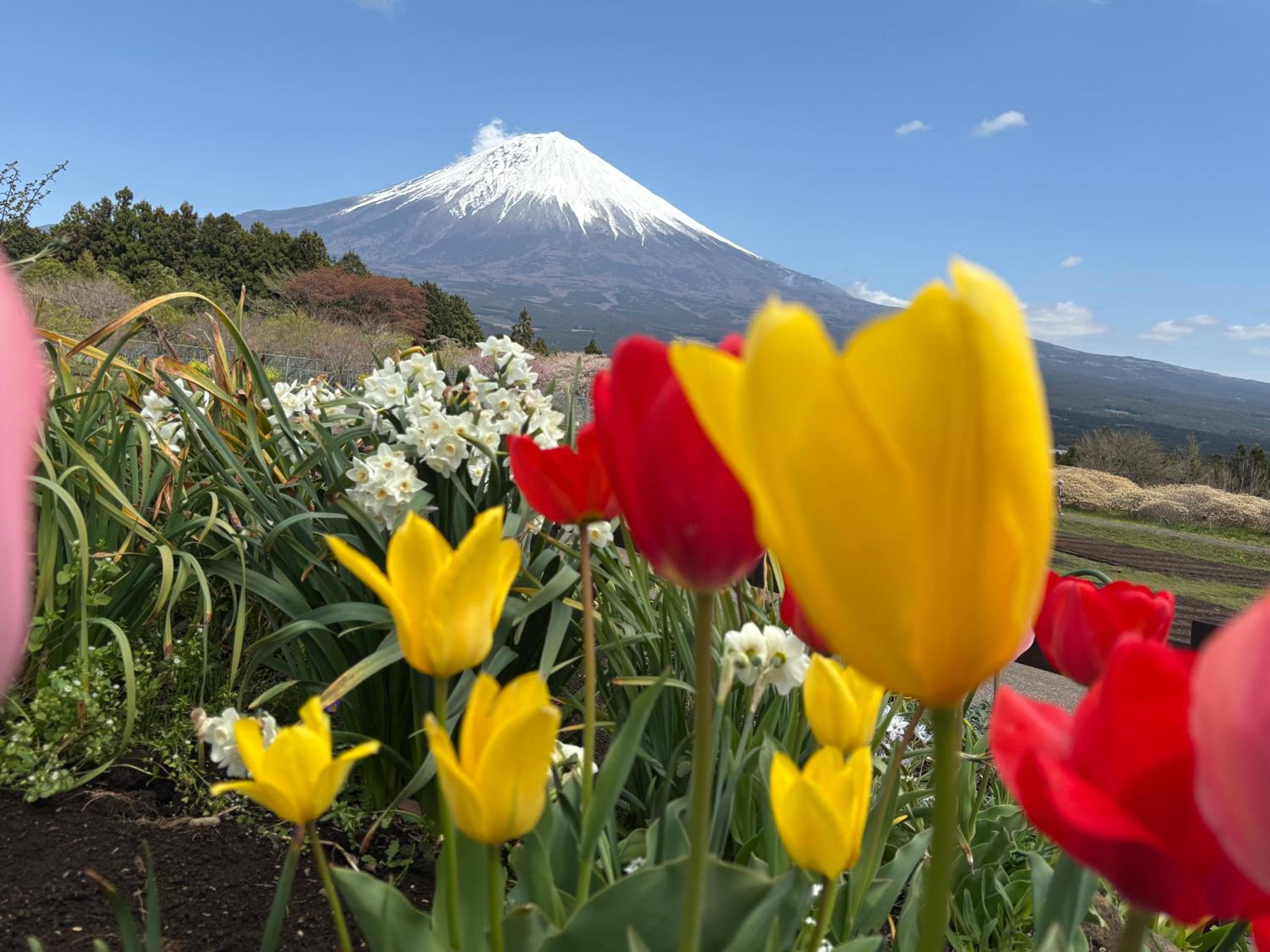 Shiraito Garden A Private Retreat Near Shiraito Falls with Mt Fuji Views
