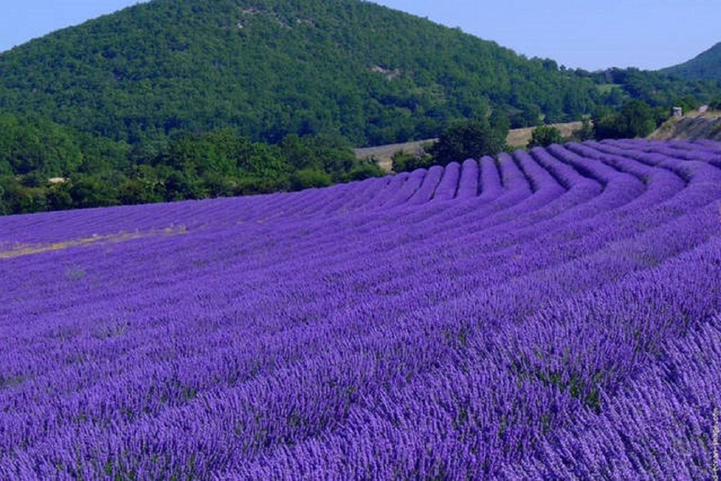 Le Mouleyras view 2