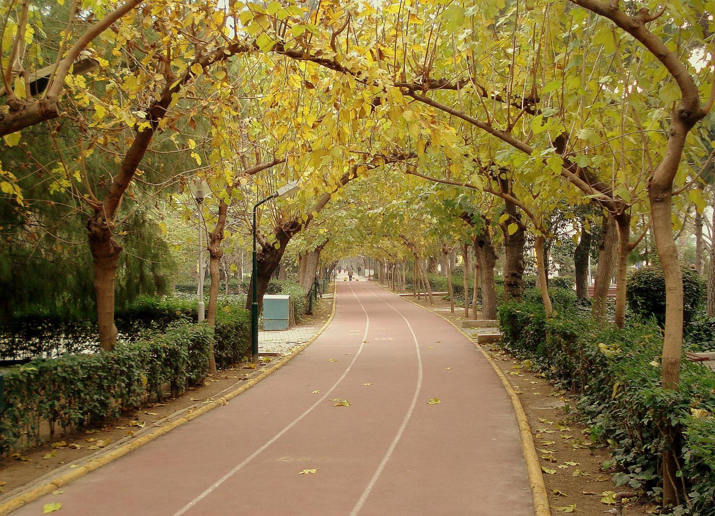 Blanca Otel - Image 41