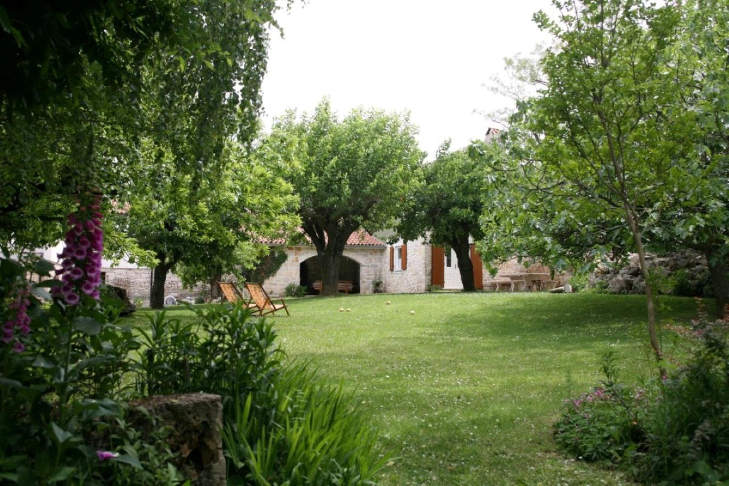 Photo 24