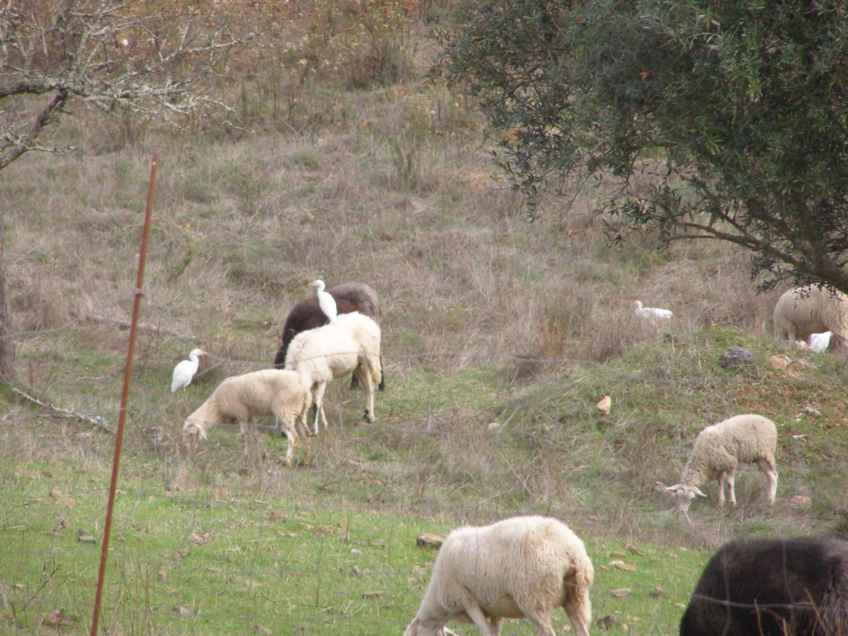 Photo 28