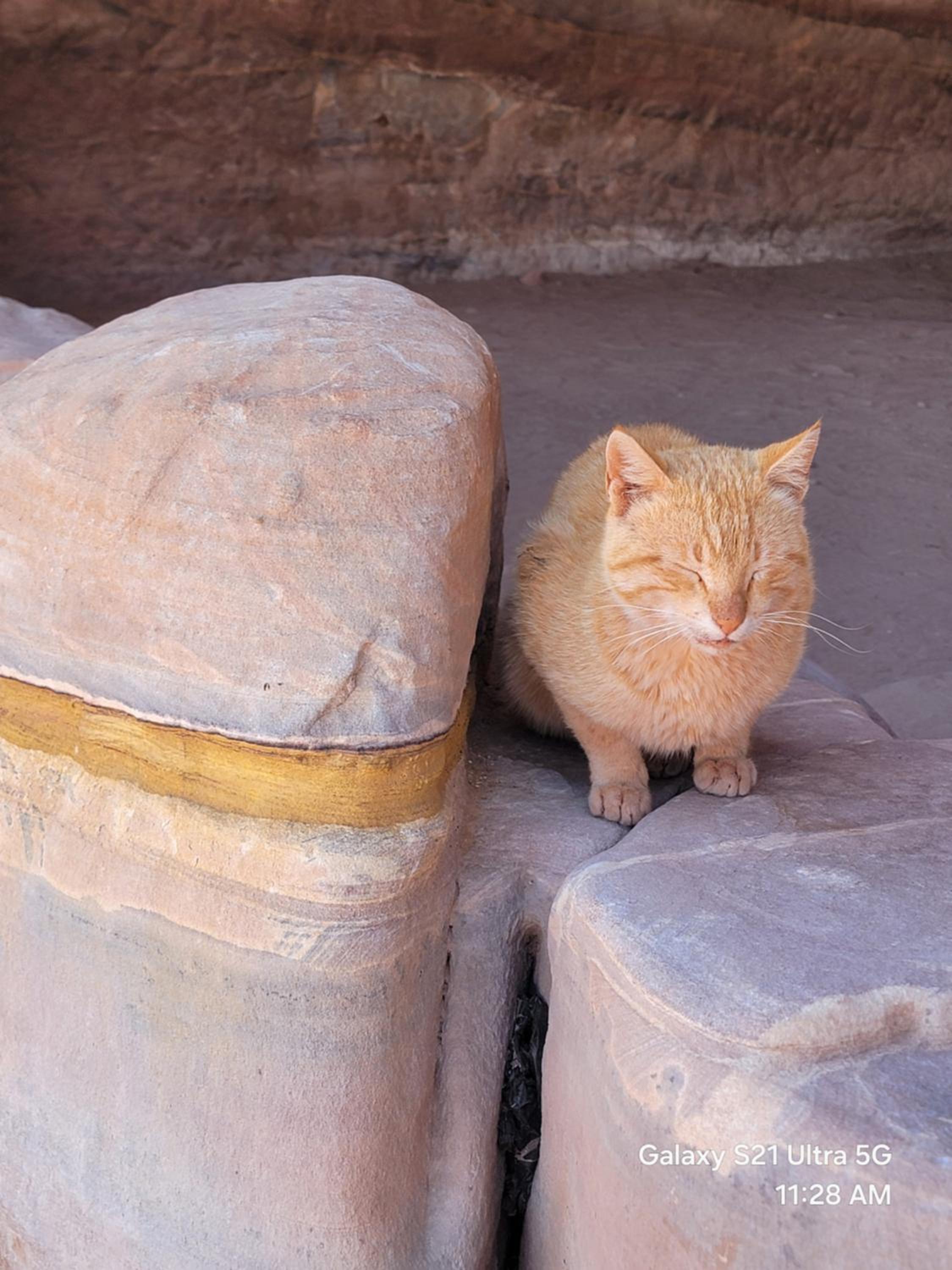 Petra Masterpiece