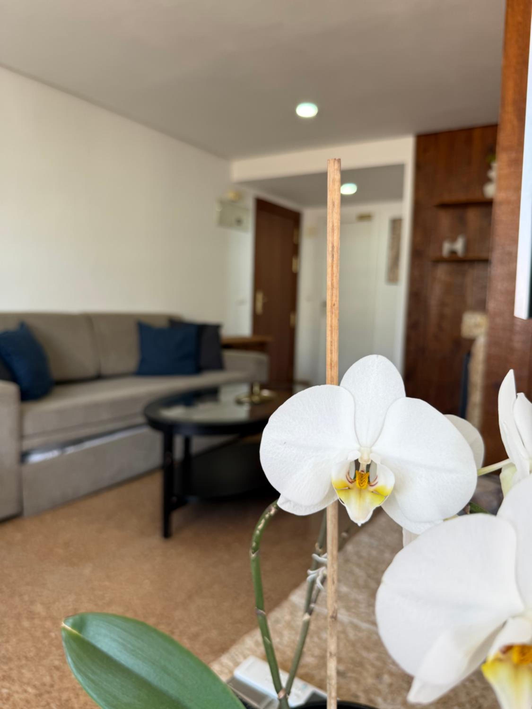 Nogalera Collection Apartments