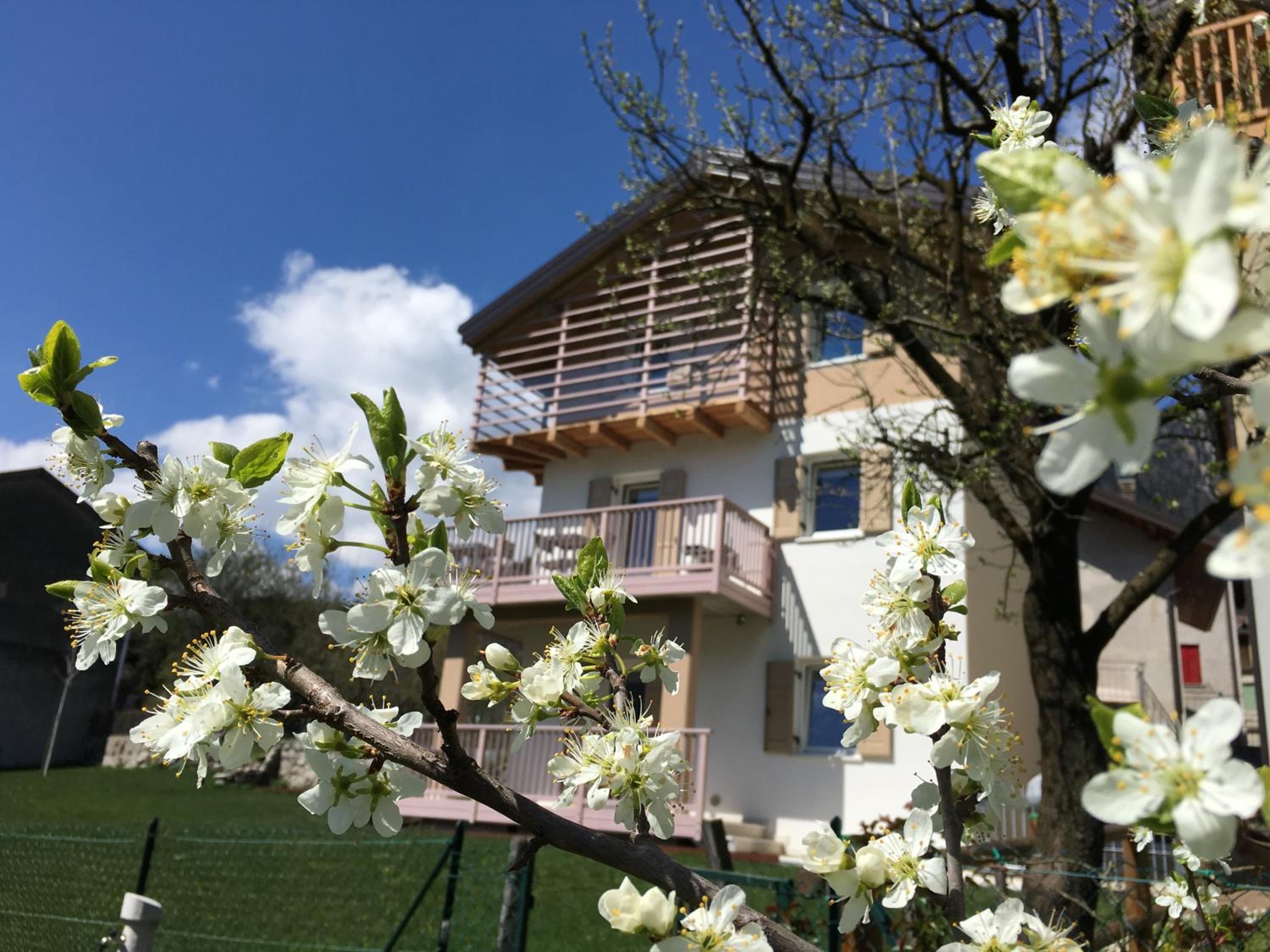 B&B Il Piccolo Principe room and breakfast