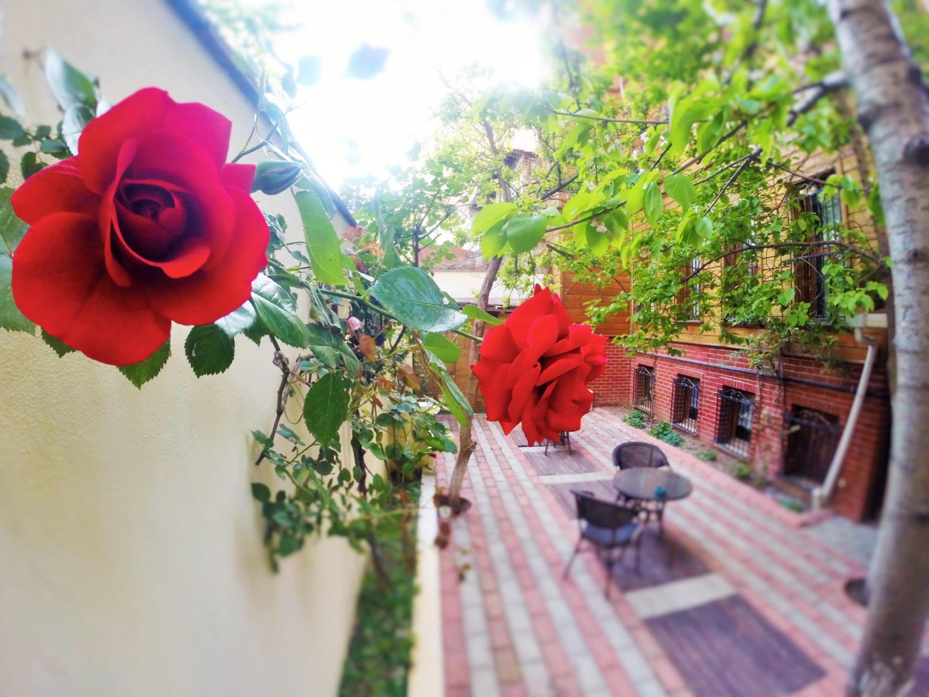 Ottoman's Pearl Otel - Image 41