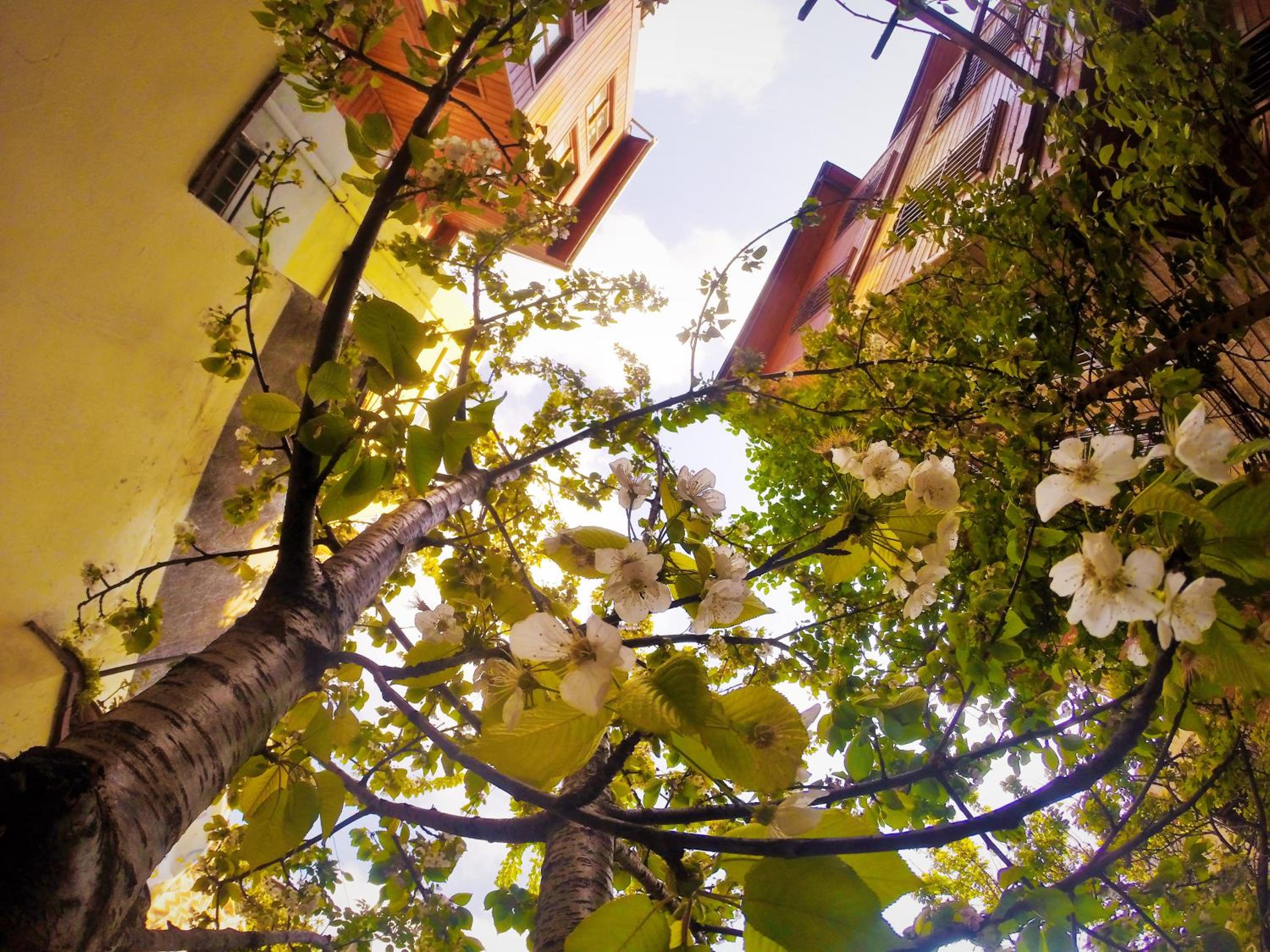 Ottoman's Pearl Otel - Image 48