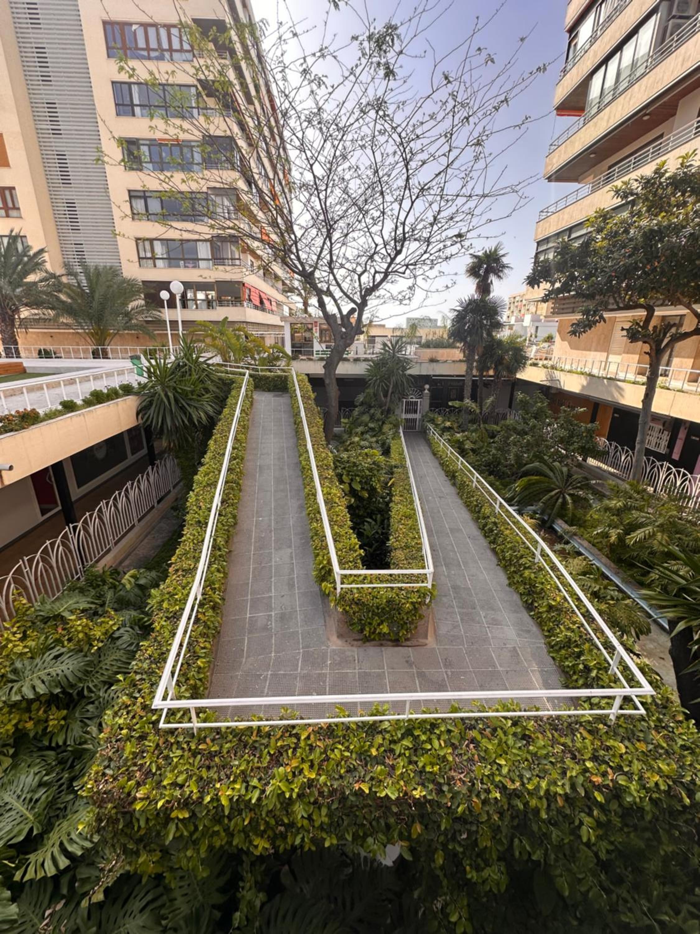 Nogalera Collection Apartments