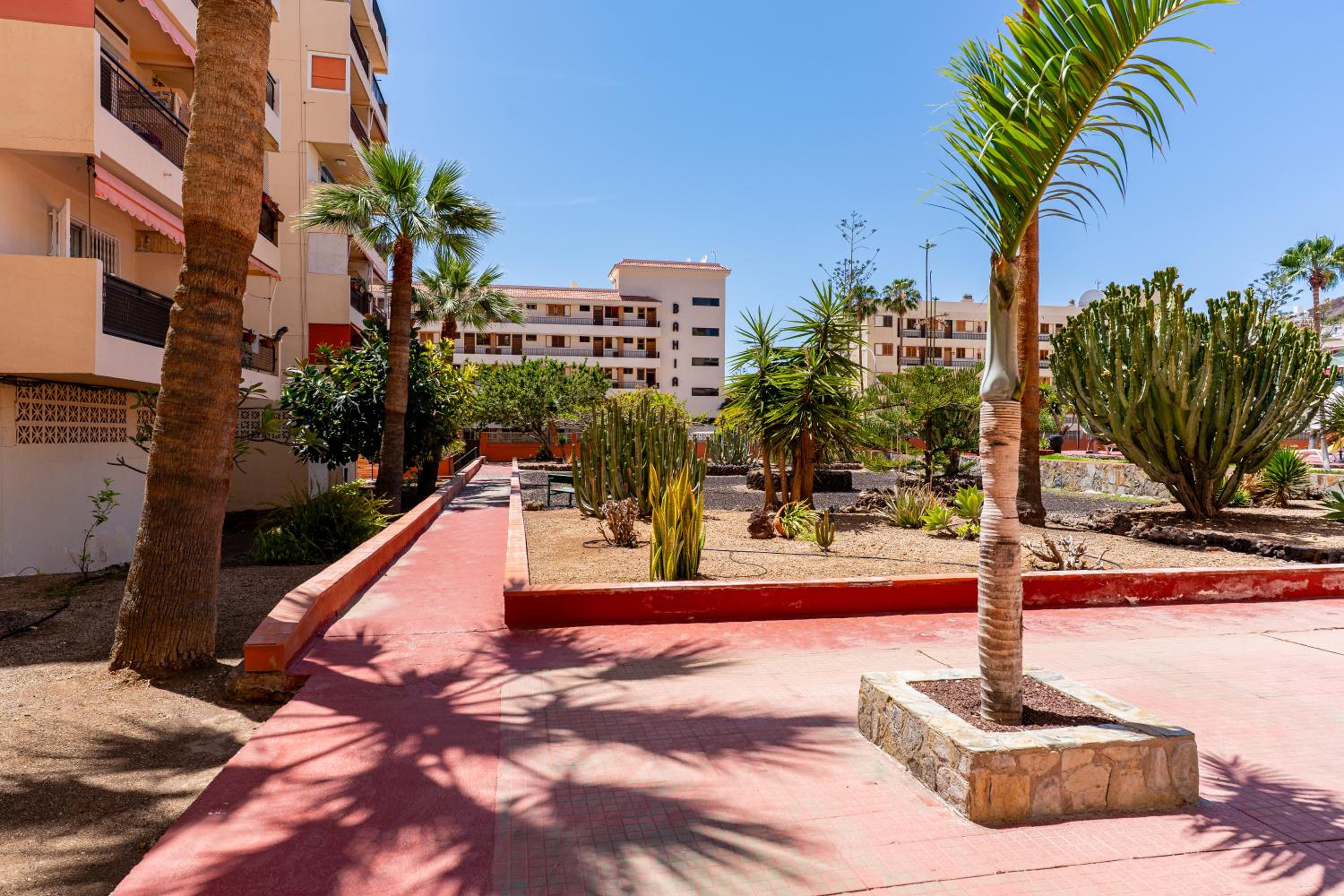 Apartment in Los Cristianos by the beach