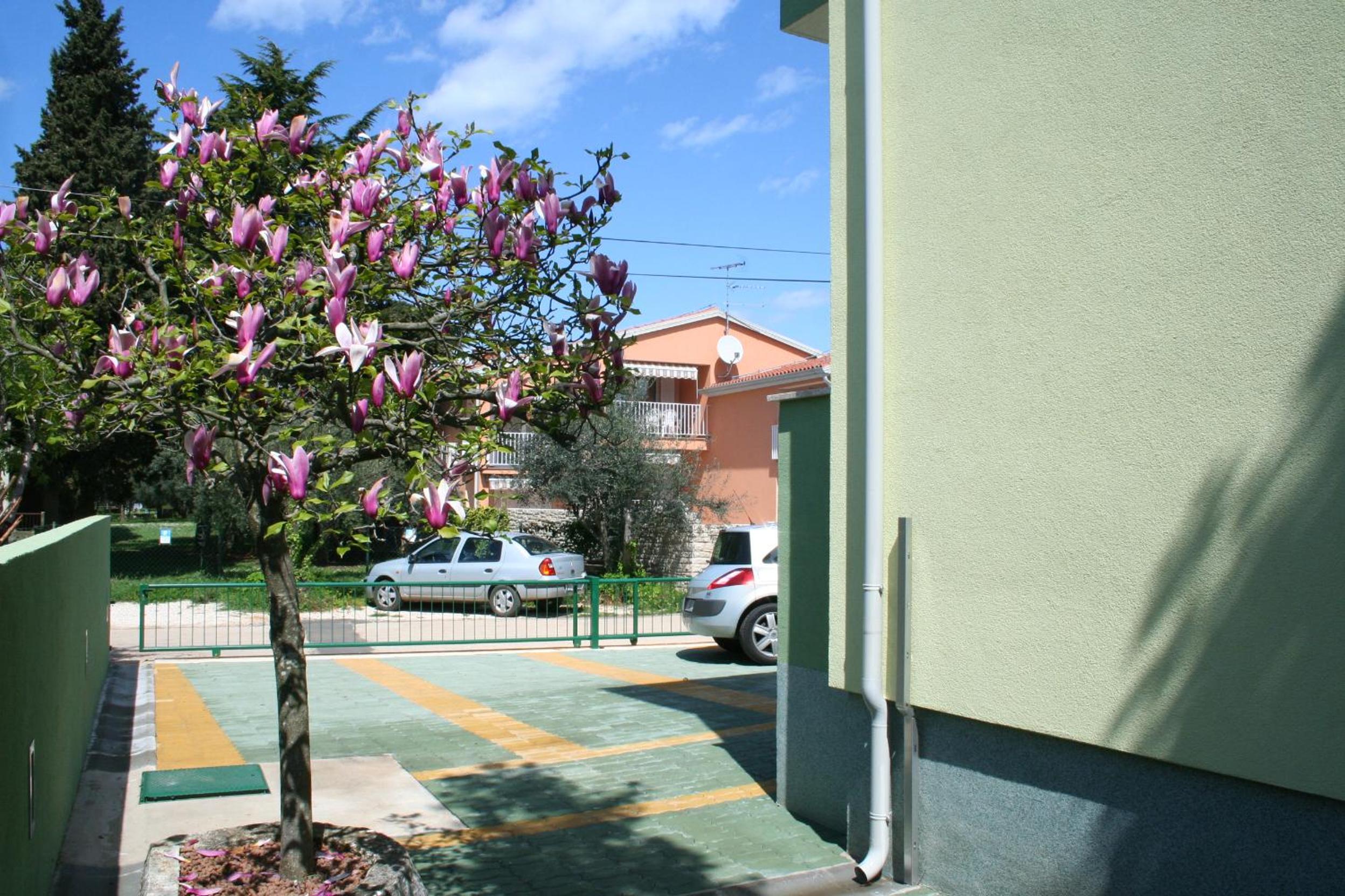Photo 30