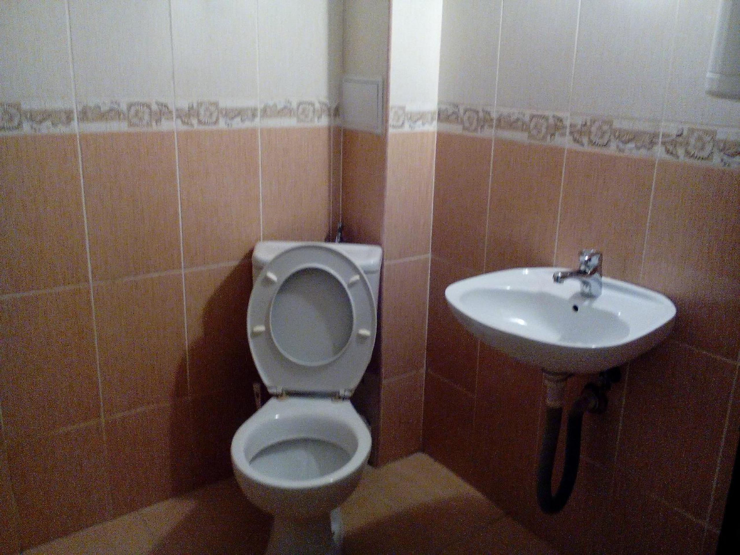 Елка