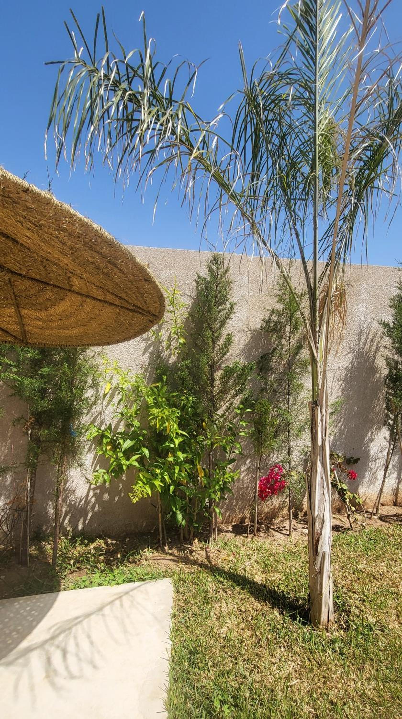 VILLA ORSON - ESSAOUIRA Ghazoua