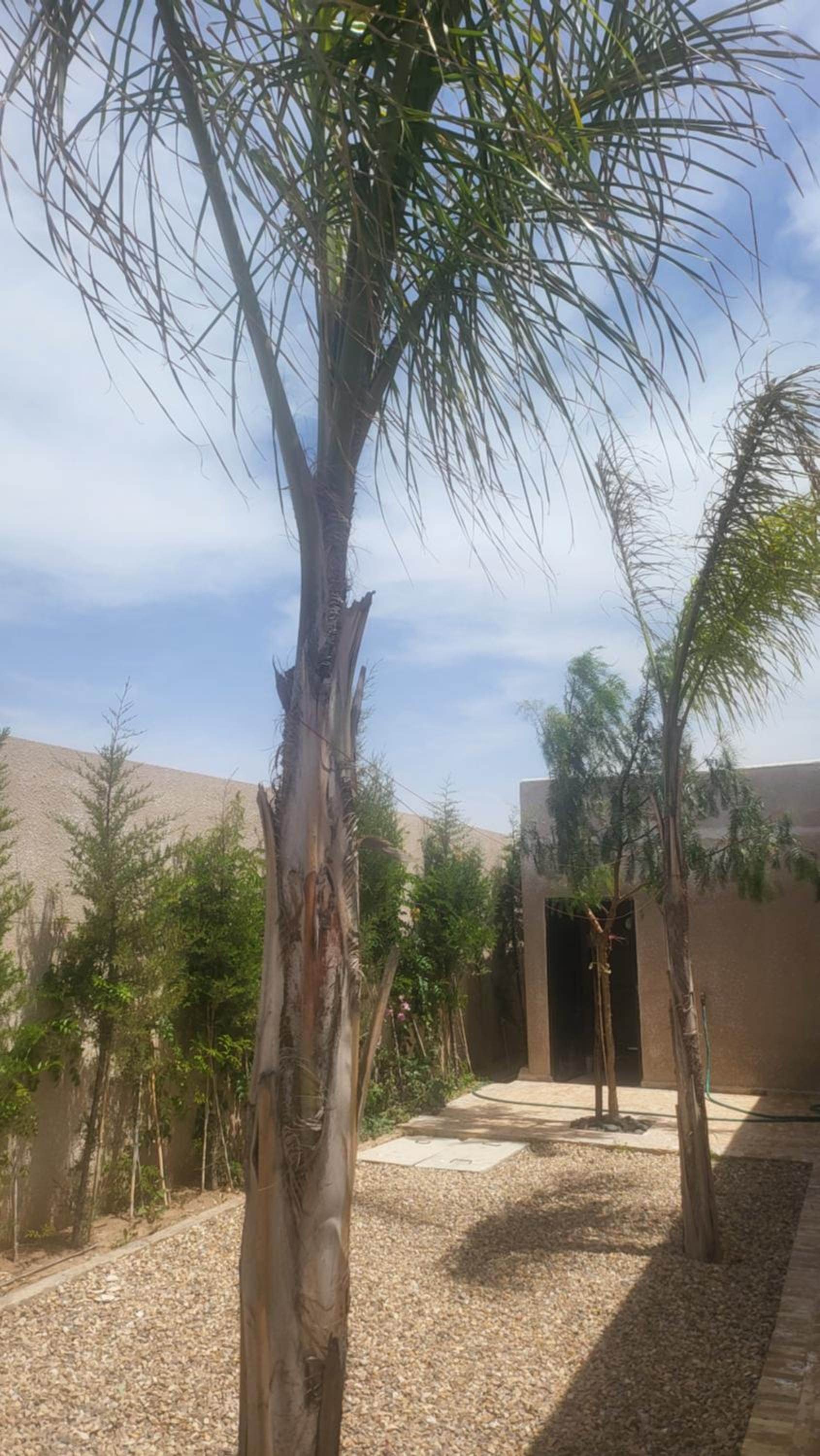 VILLA ORSON - ESSAOUIRA Ghazoua