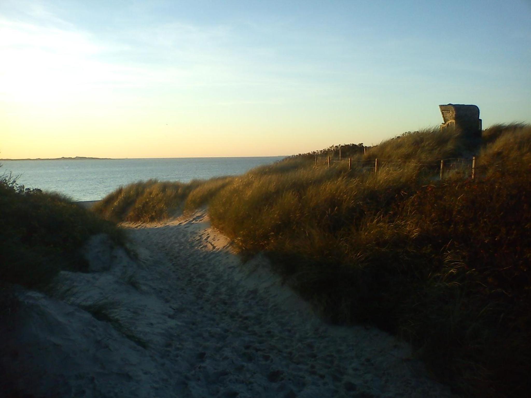 Photo 45