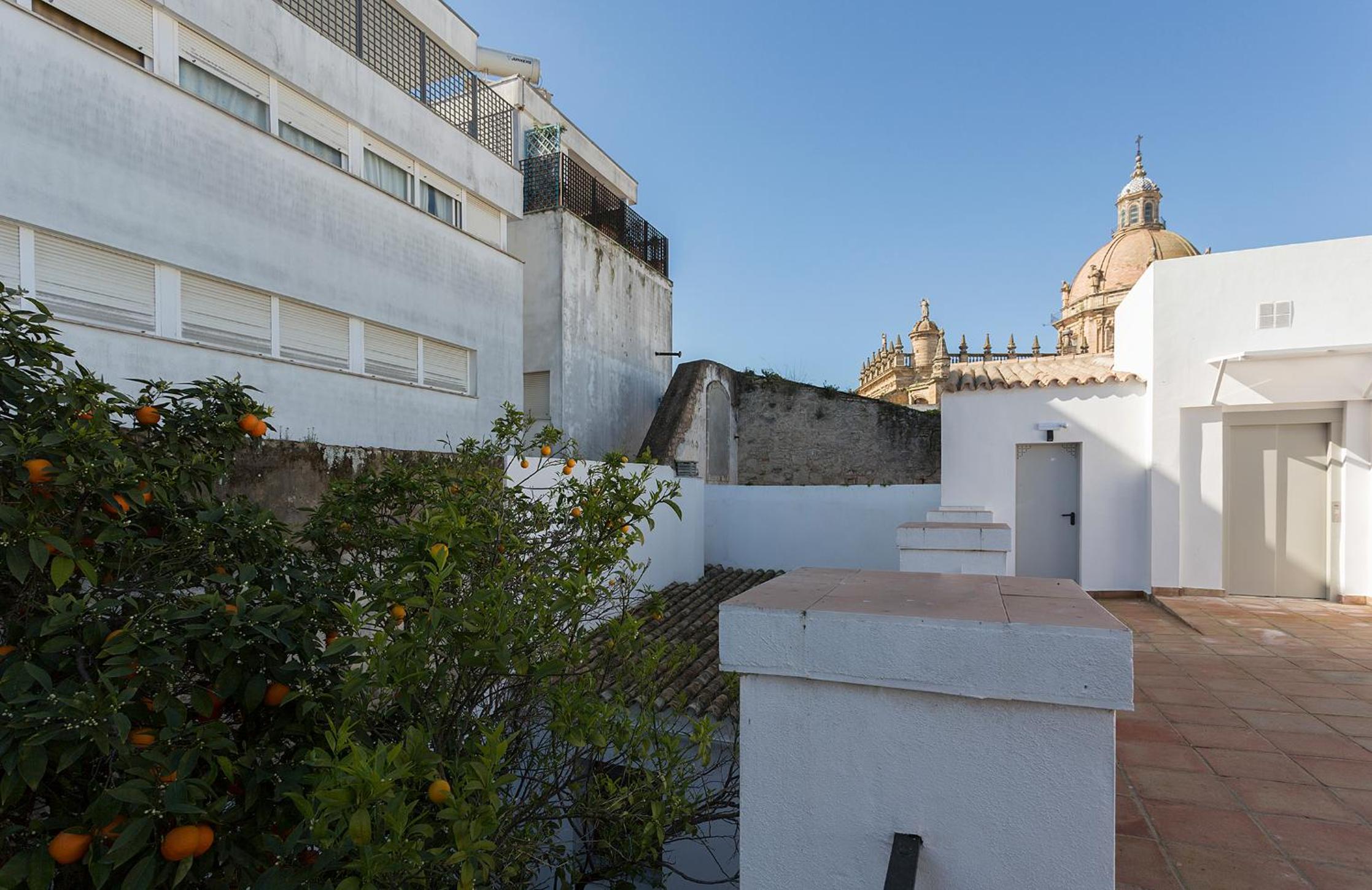 Catedral Moderno Centro