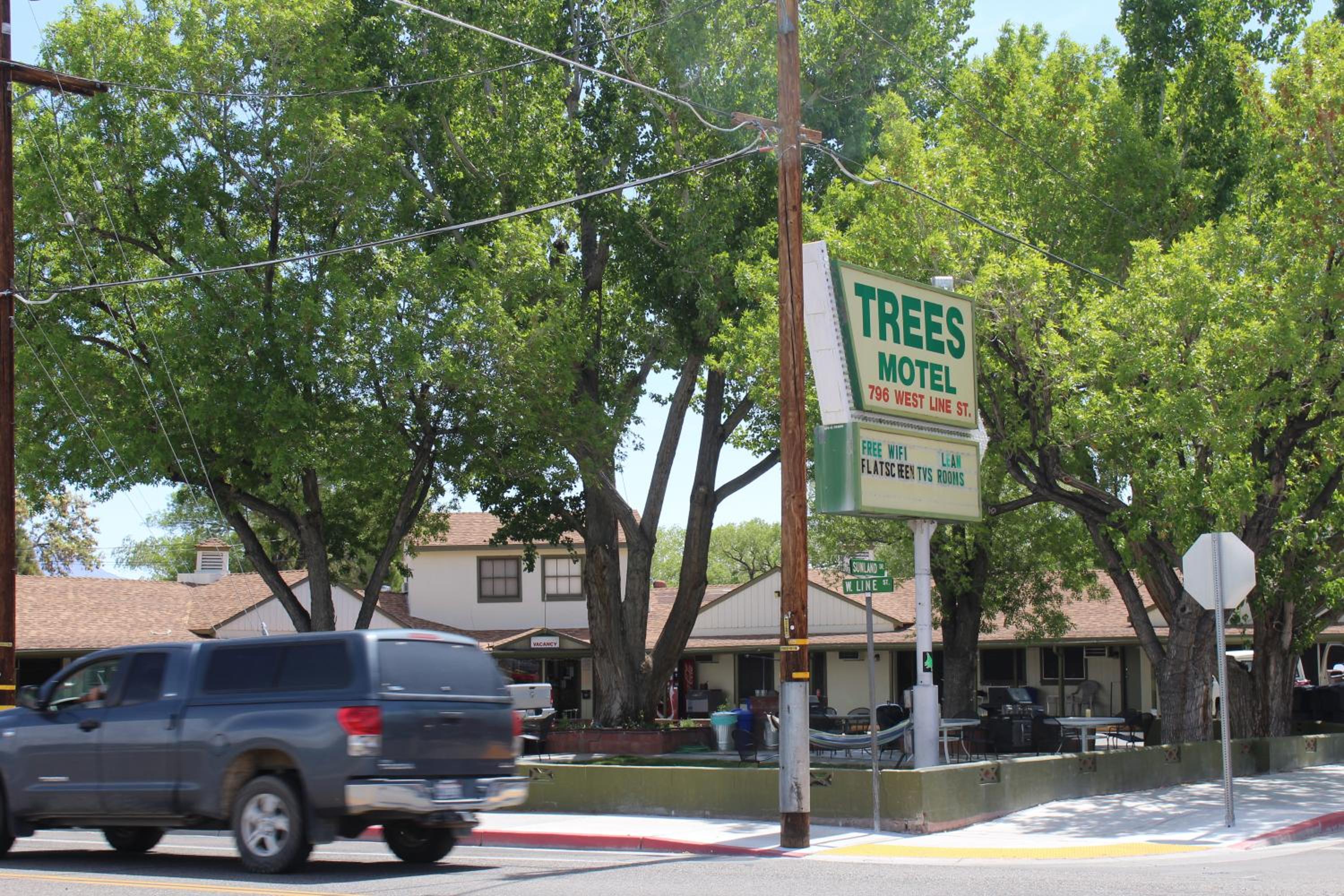 Trees Motel