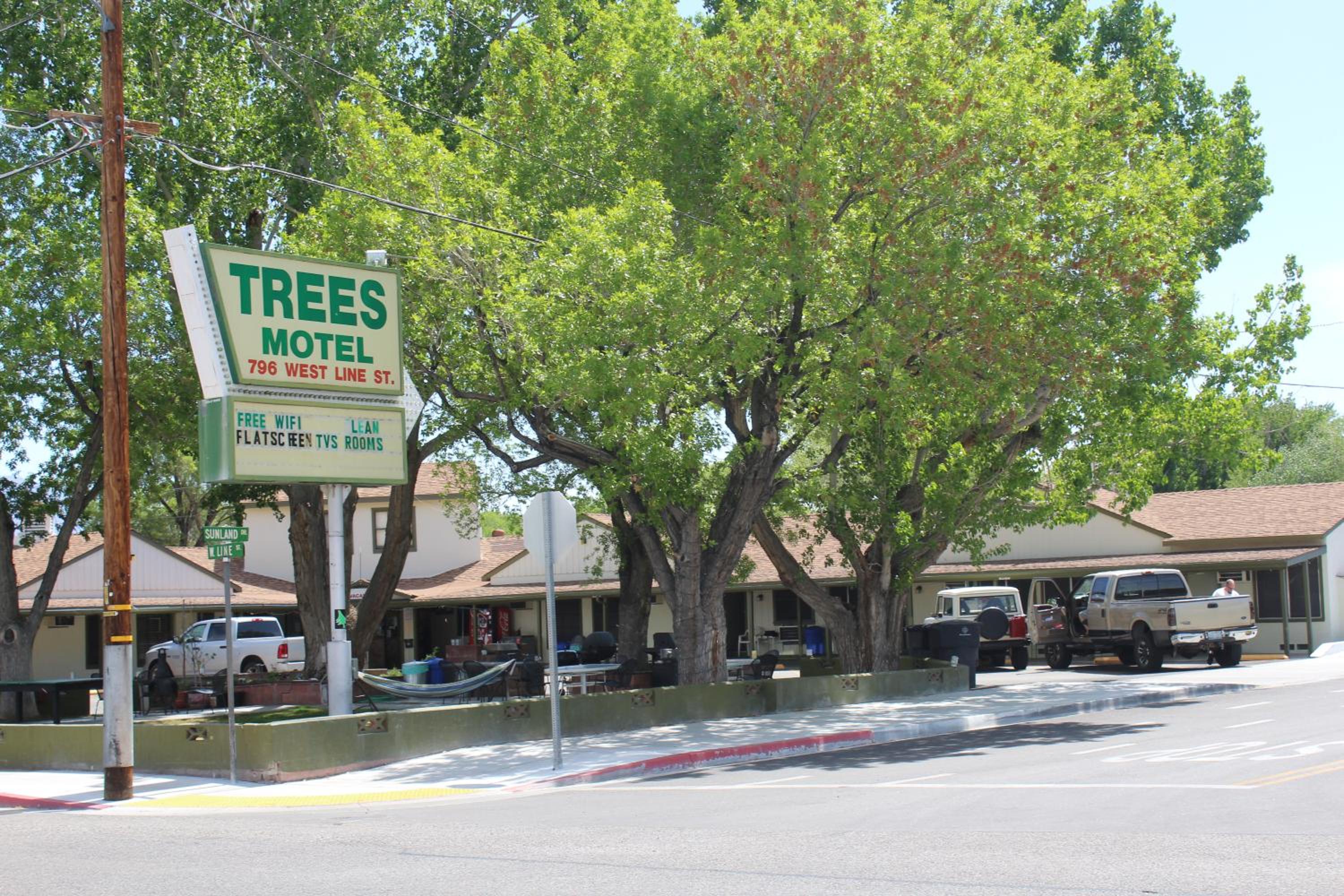 Trees Motel