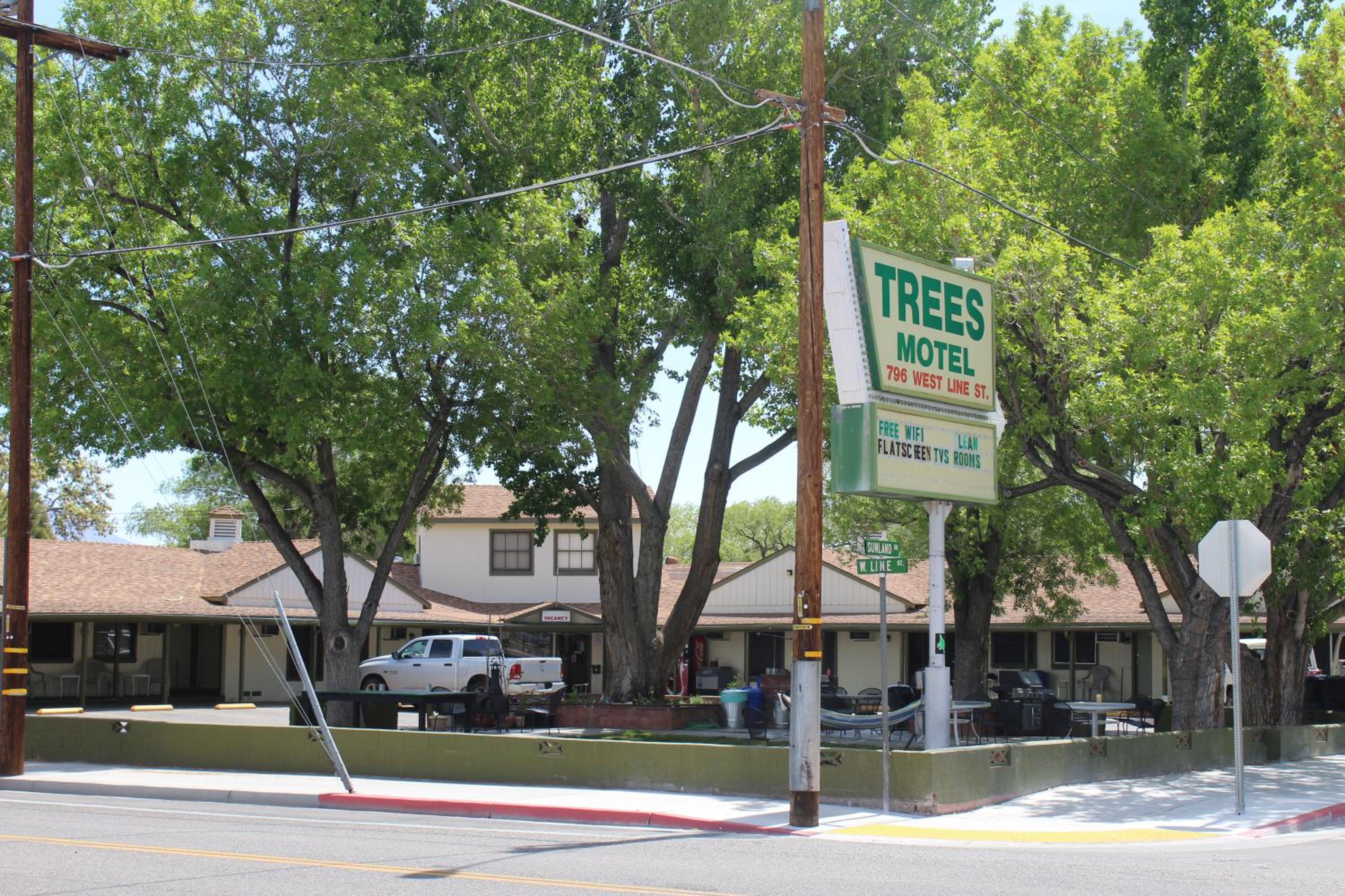 Trees Motel