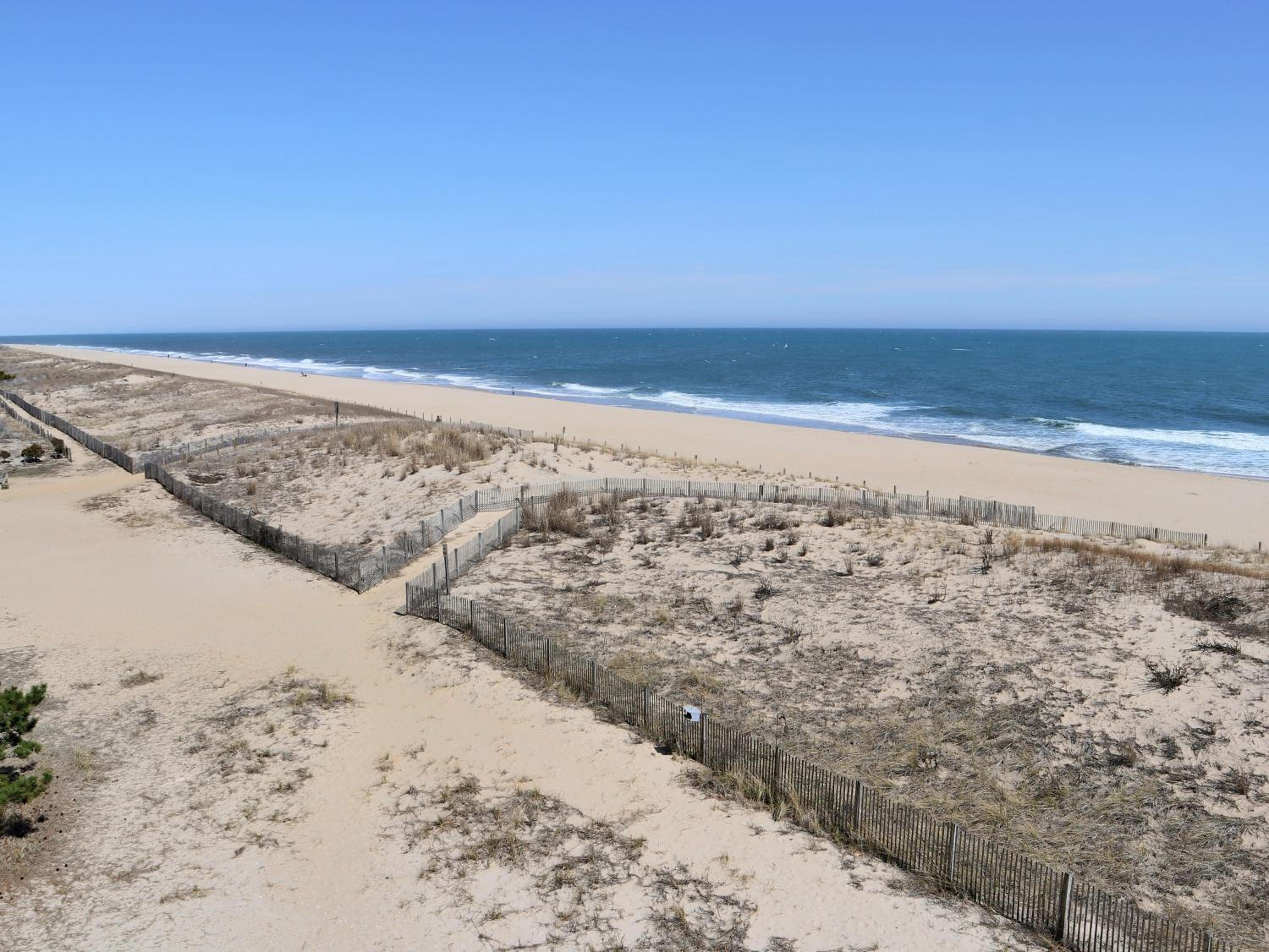 BeachBox III - The One with Unreal Beach Views - Couple's Getaway - Worcester House 401