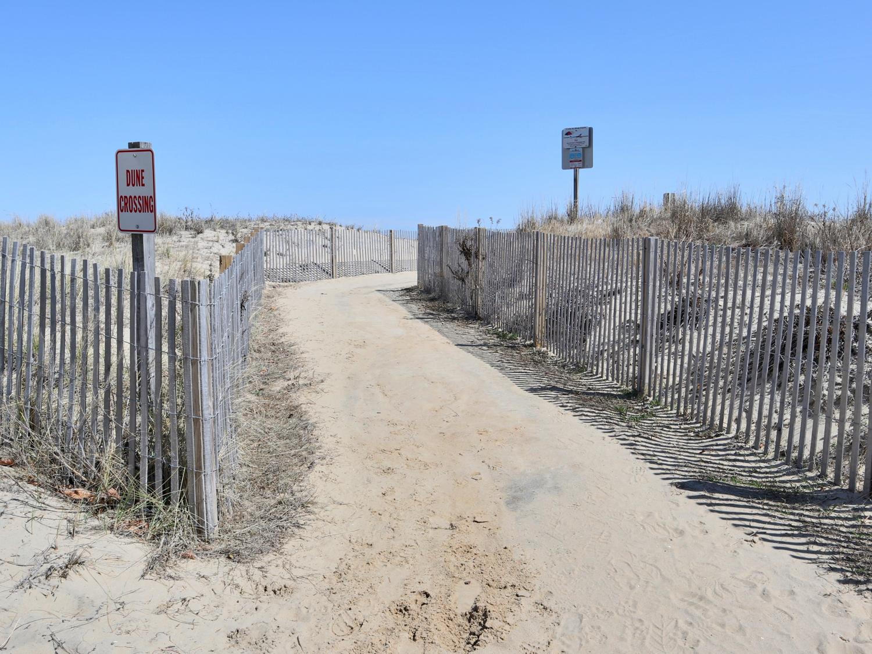 BeachBox III - The One with Unreal Beach Views - Couple's Getaway - Worcester House 401