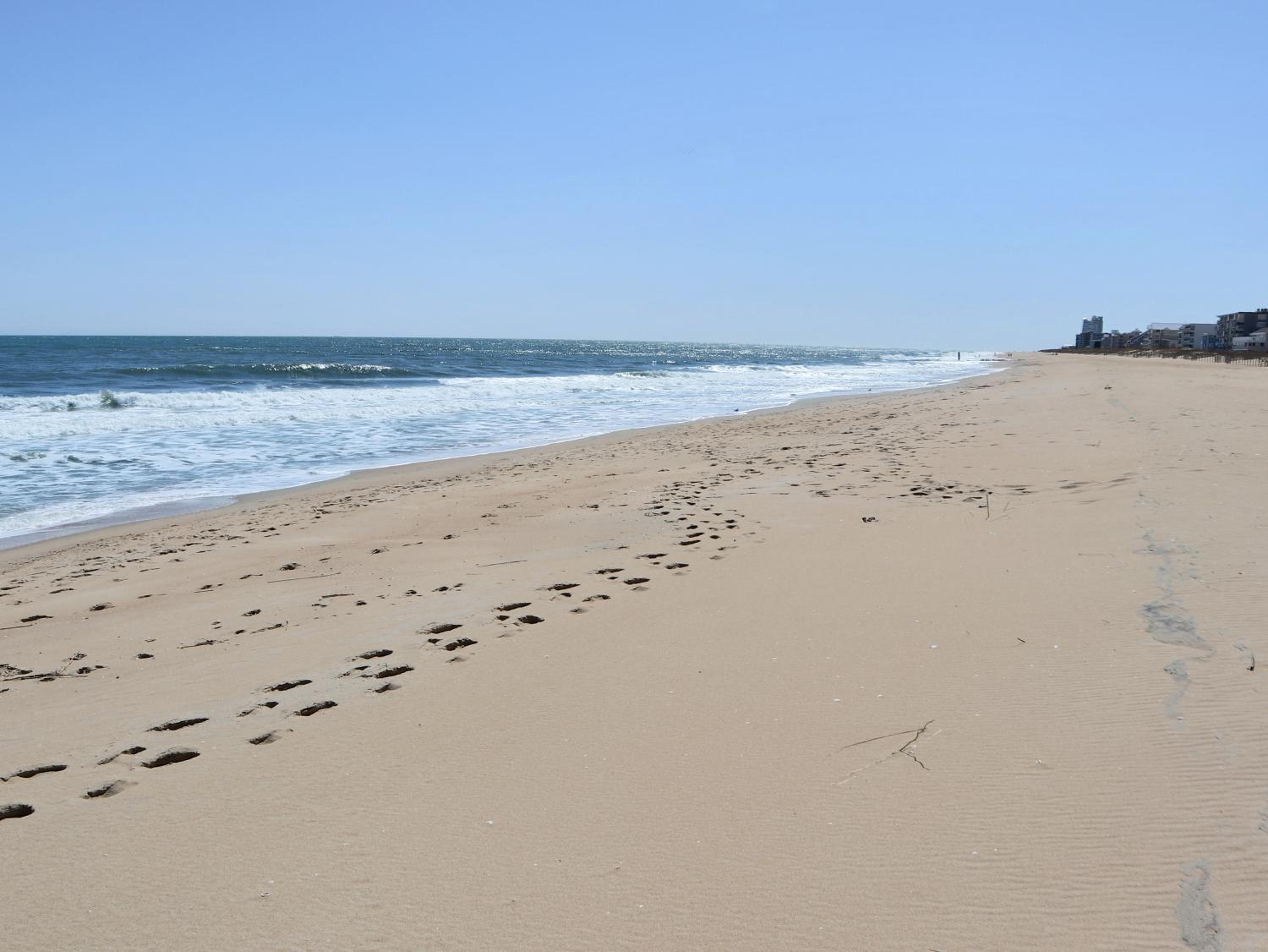 BeachBox III - The One with Unreal Beach Views - Couple's Getaway - Worcester House 401
