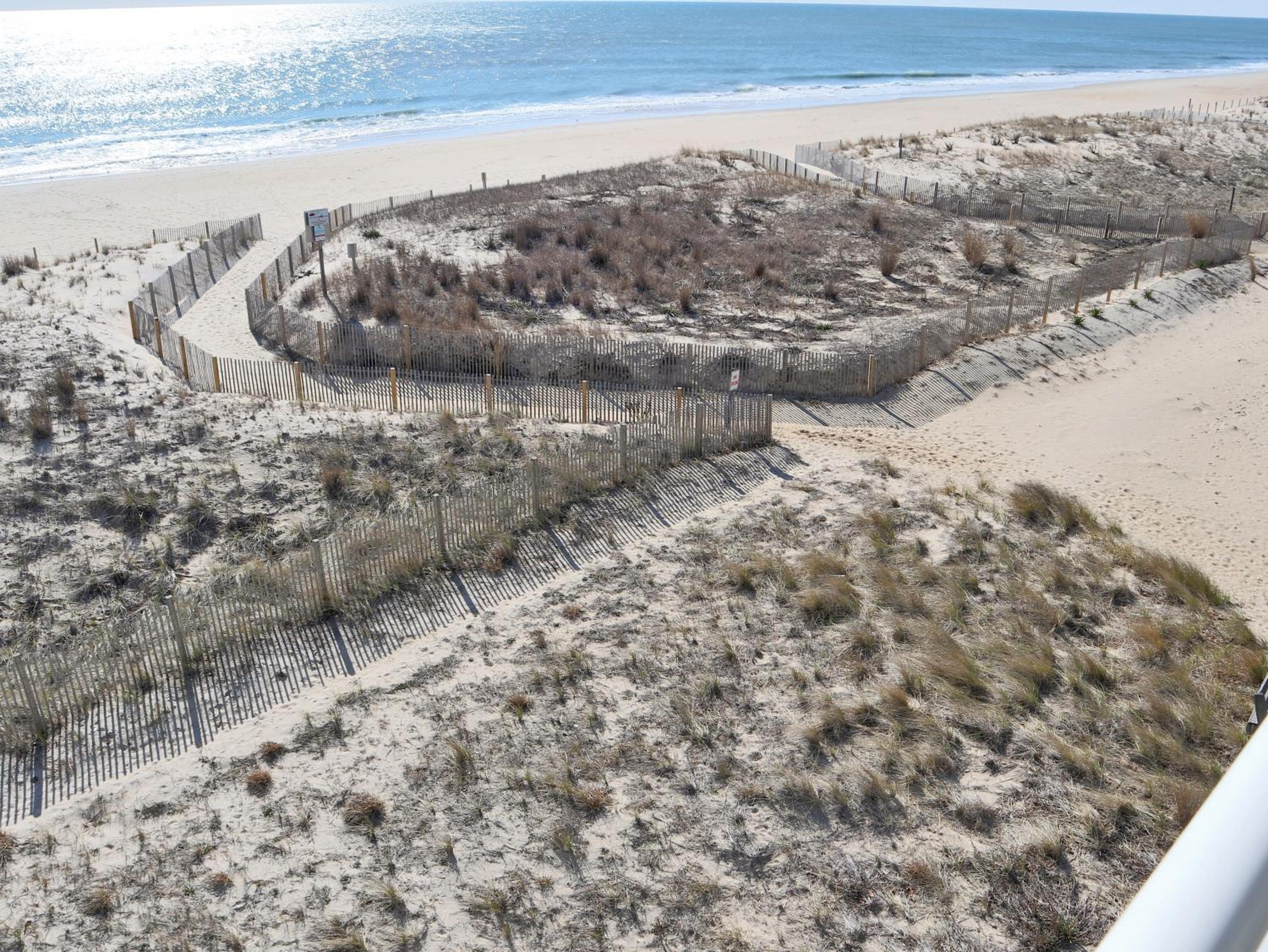BeachBox III - The One with Unreal Beach Views - Couple's Getaway - Worcester House 401