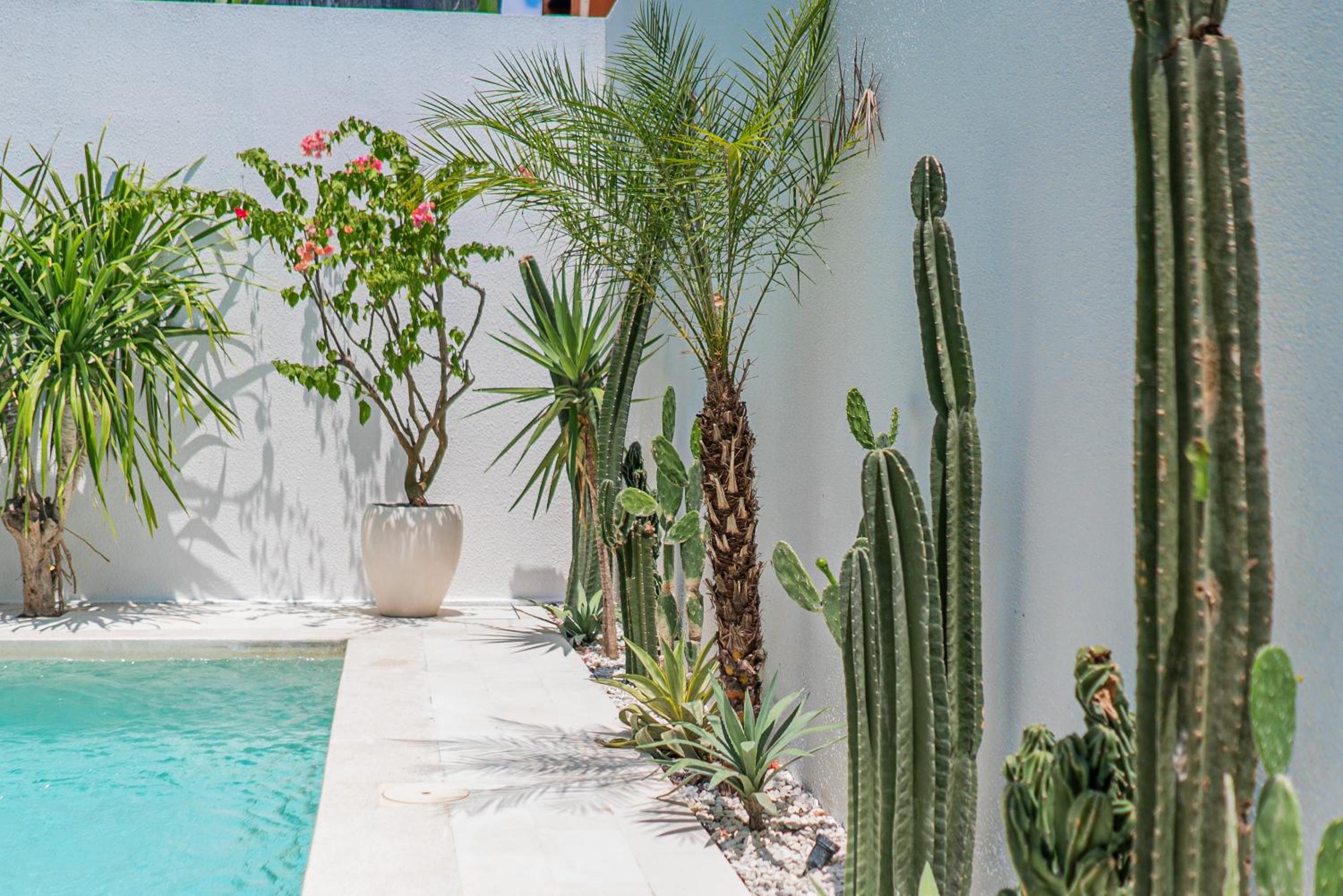 Maria Johanna 1 - 3BR Villa in Pererenan