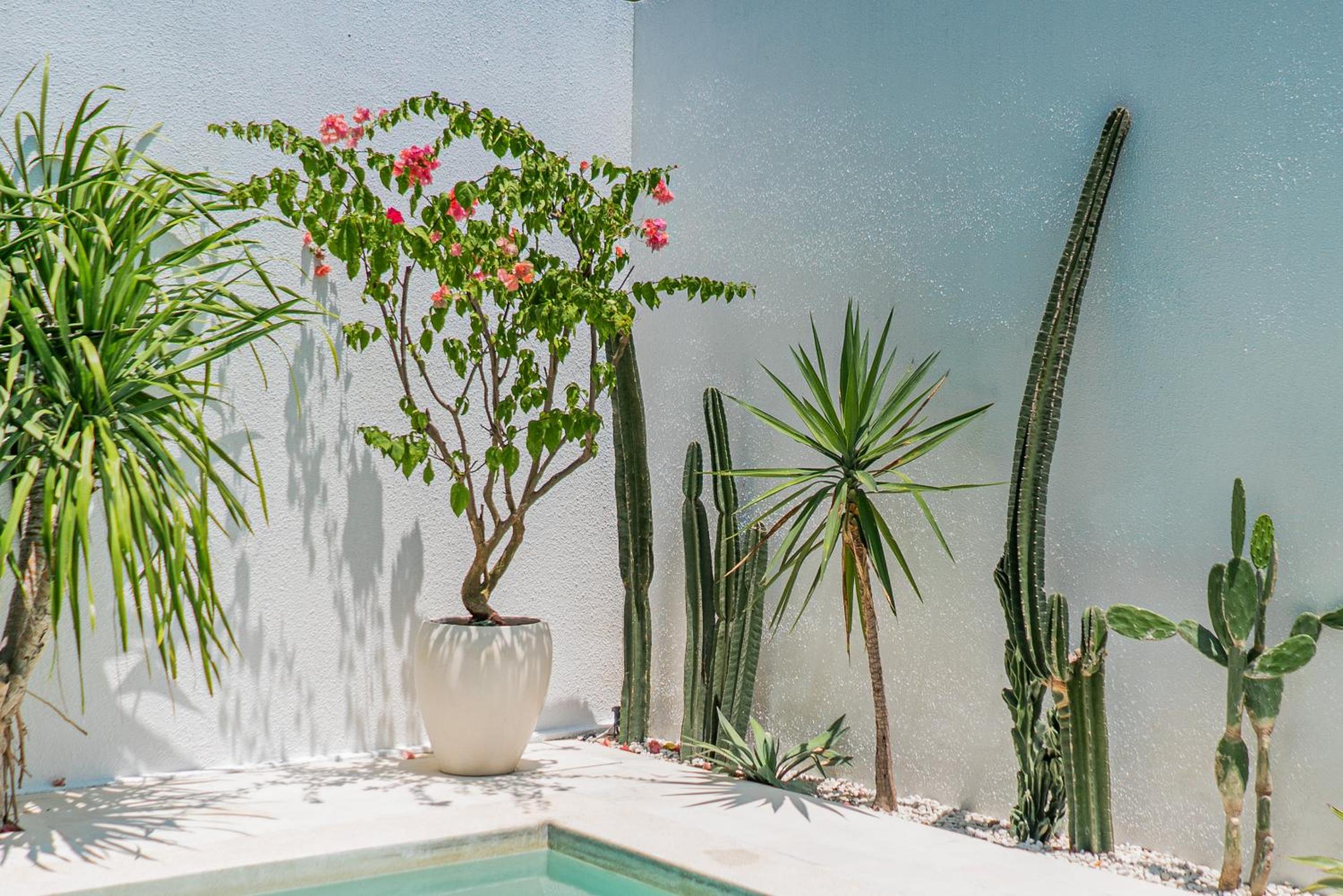 Maria Johanna 1 - 3BR Villa in Pererenan