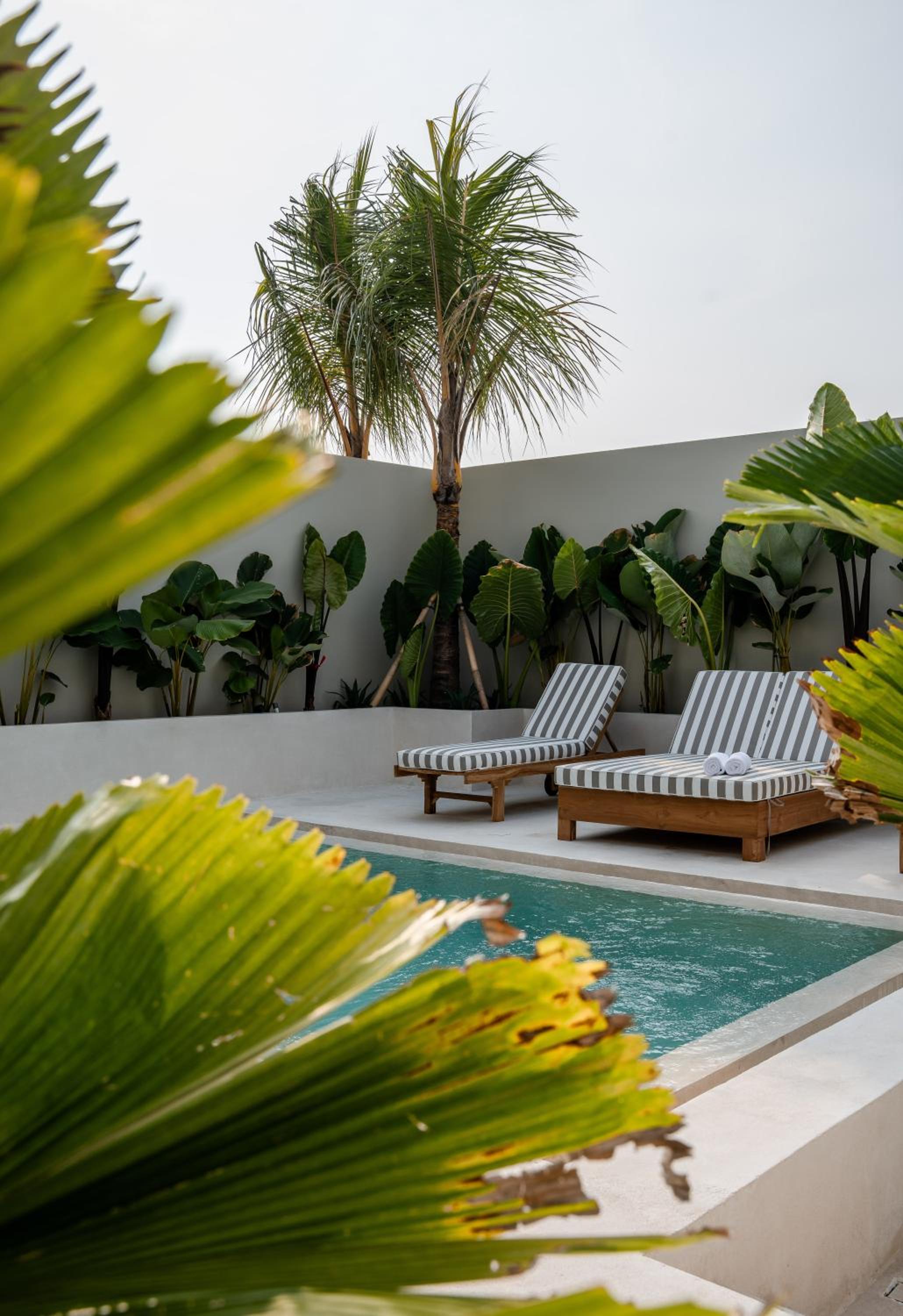 Kedungu Palm 1 - 3BR Villa in Kedungu