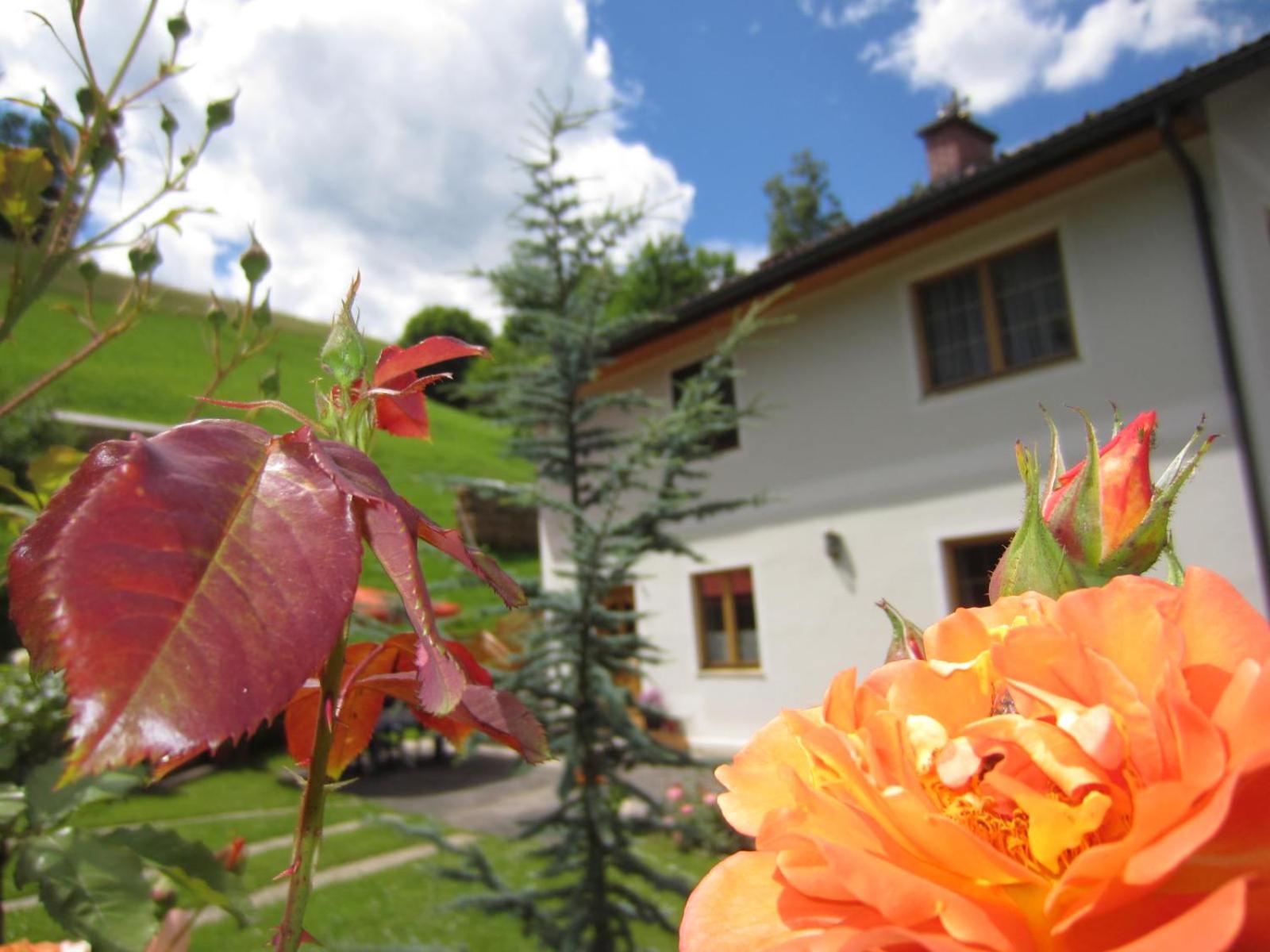 Heidi's Schlummerkiste am Fuß der Teichalm
