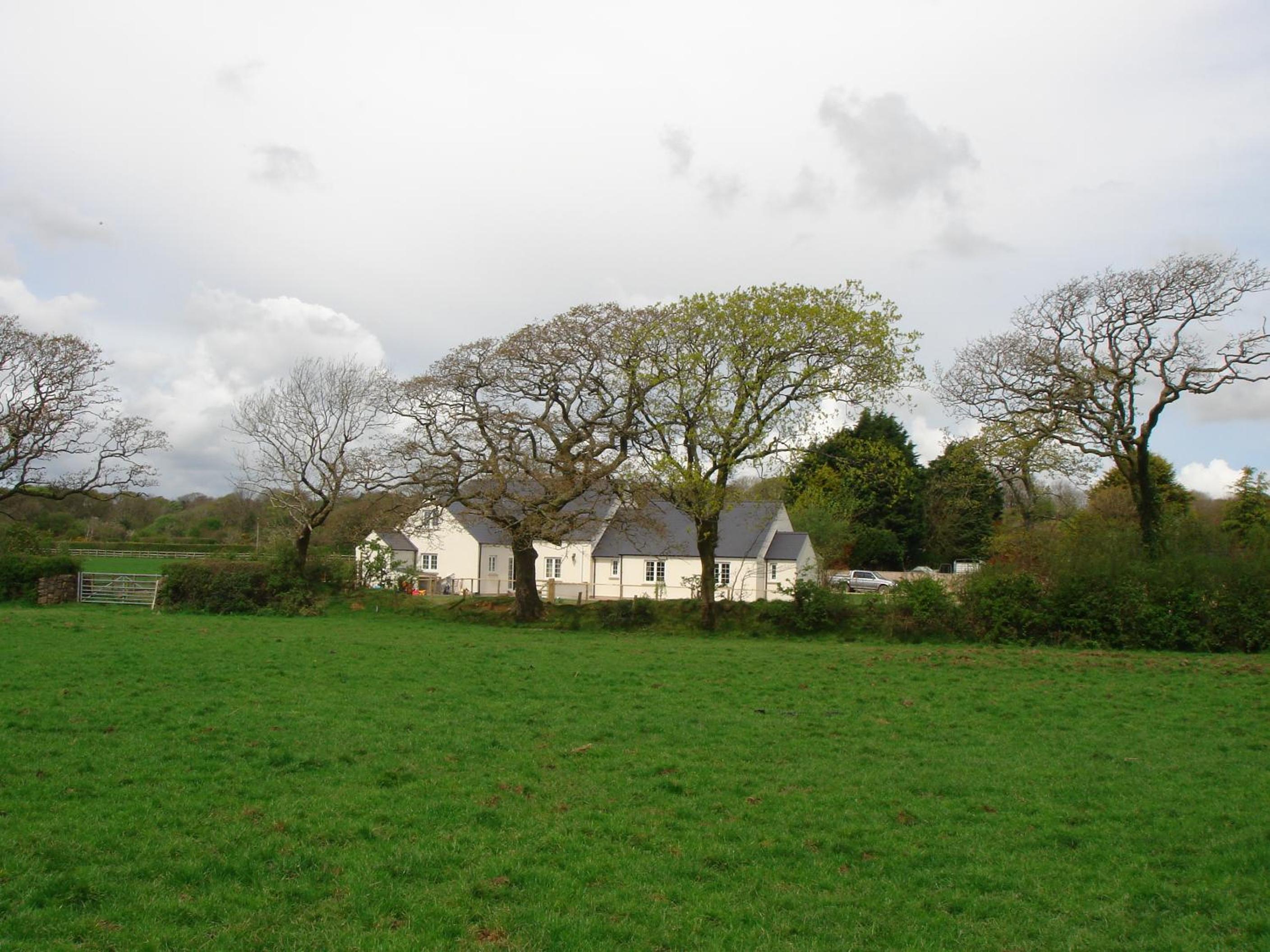 The Paddock
