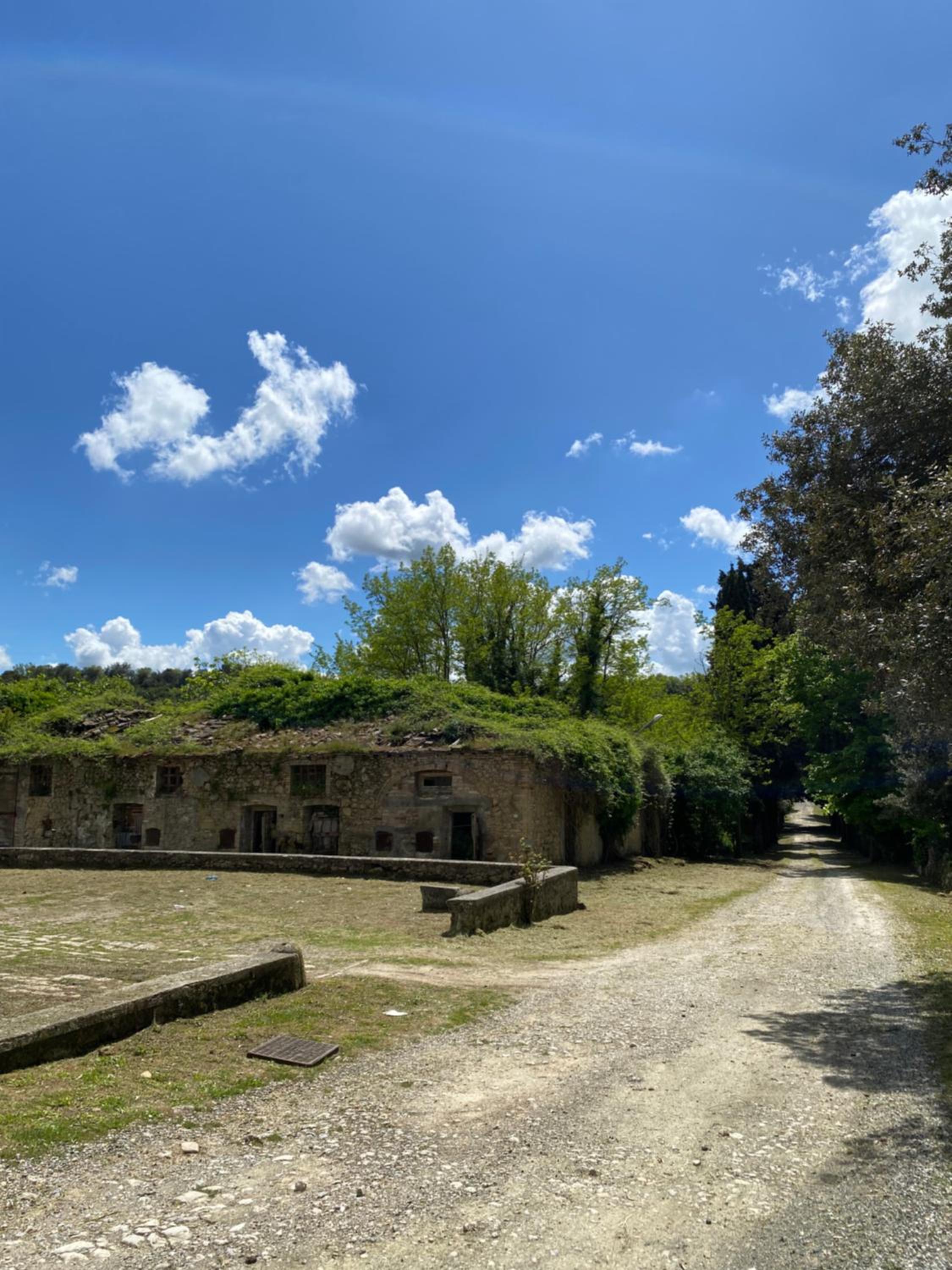 Buonriposo San Gimignano
