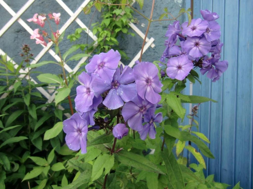 Photo 34