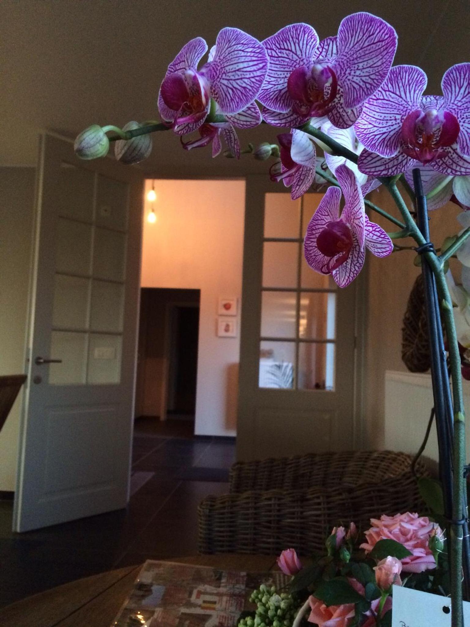 Vakantiehoeve Berckelaer, photo 89