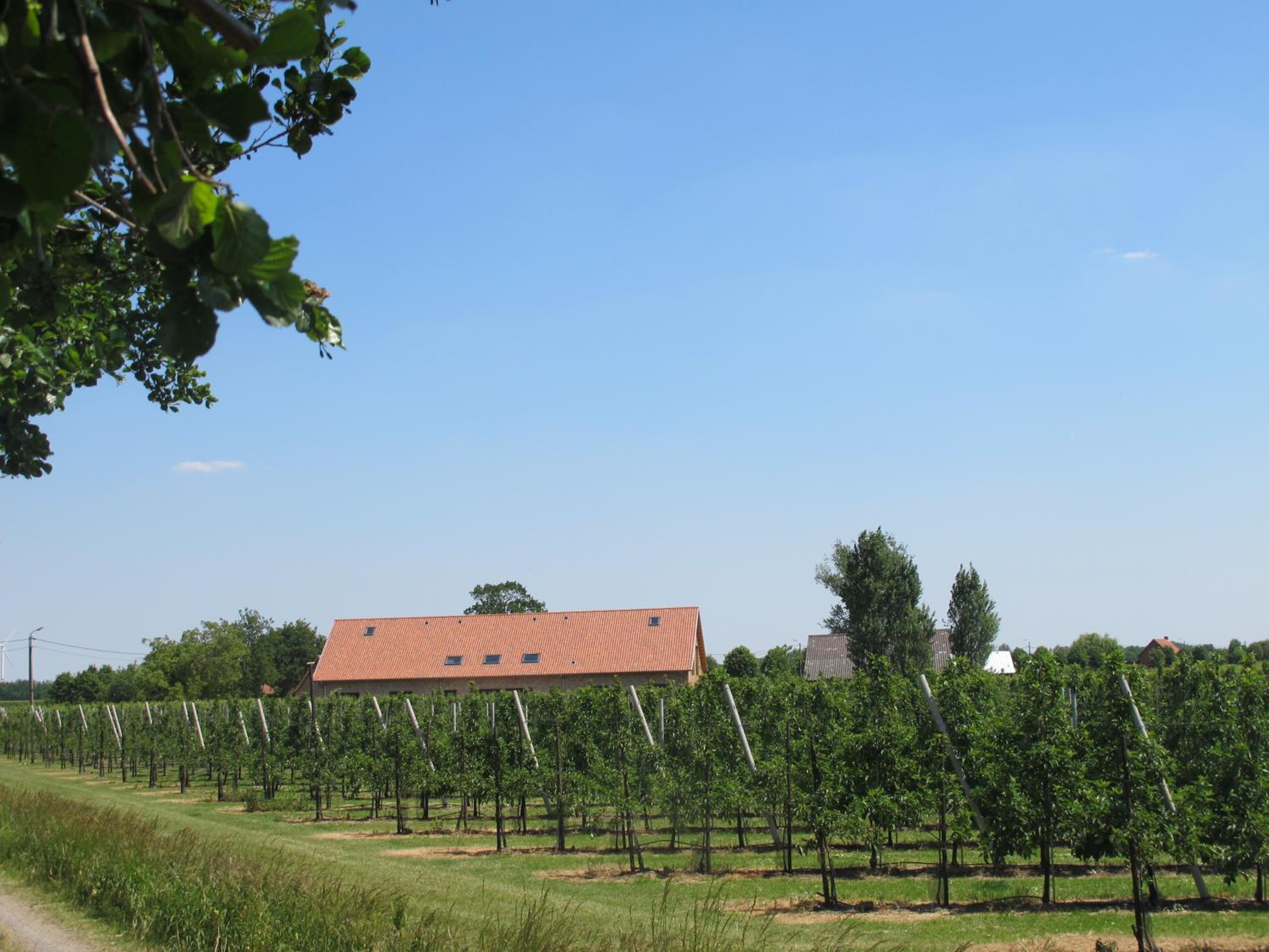 Vakantiehoeve Berckelaer, photo 31