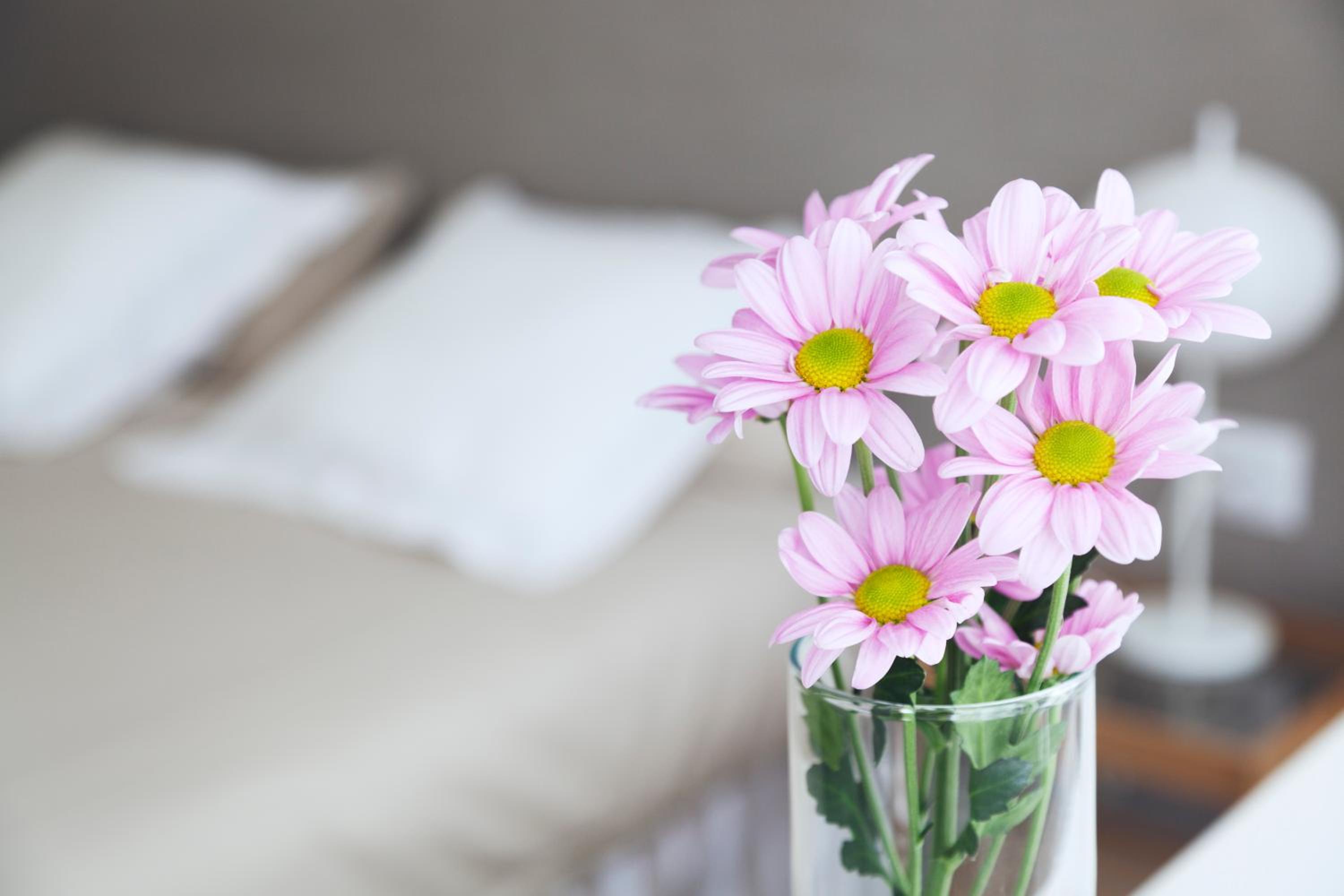 Victoria Site-Luxury Center