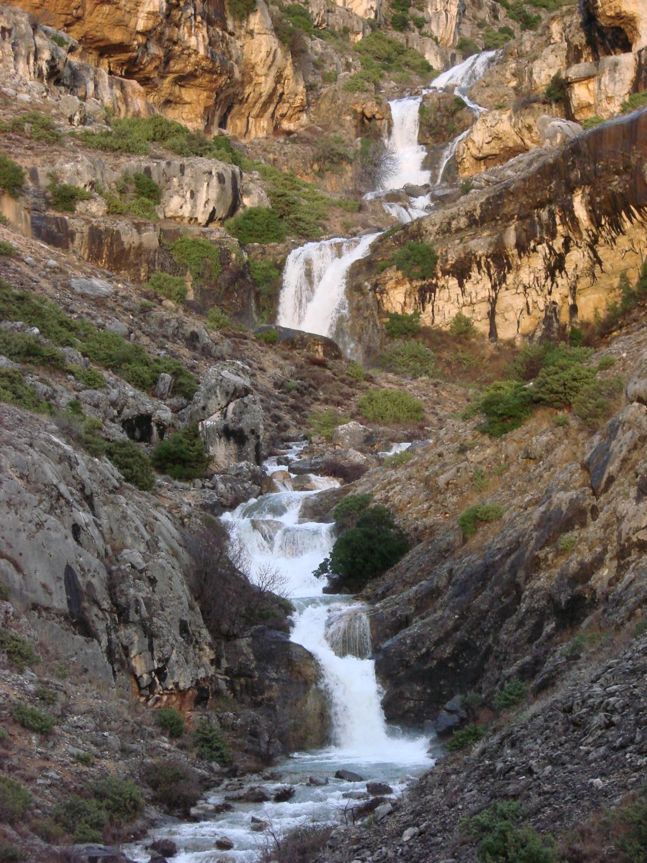 Photo 43