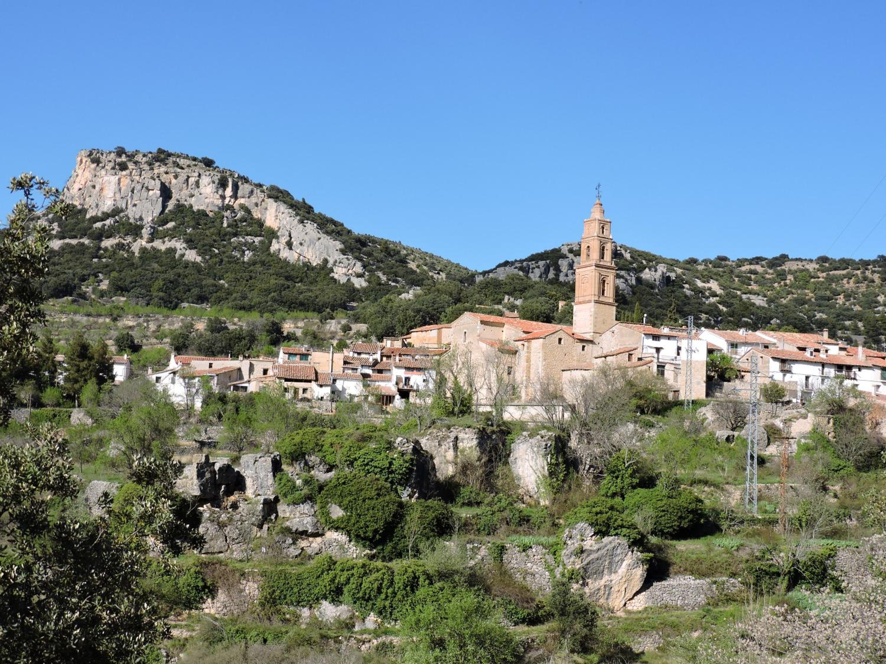 Photo 20