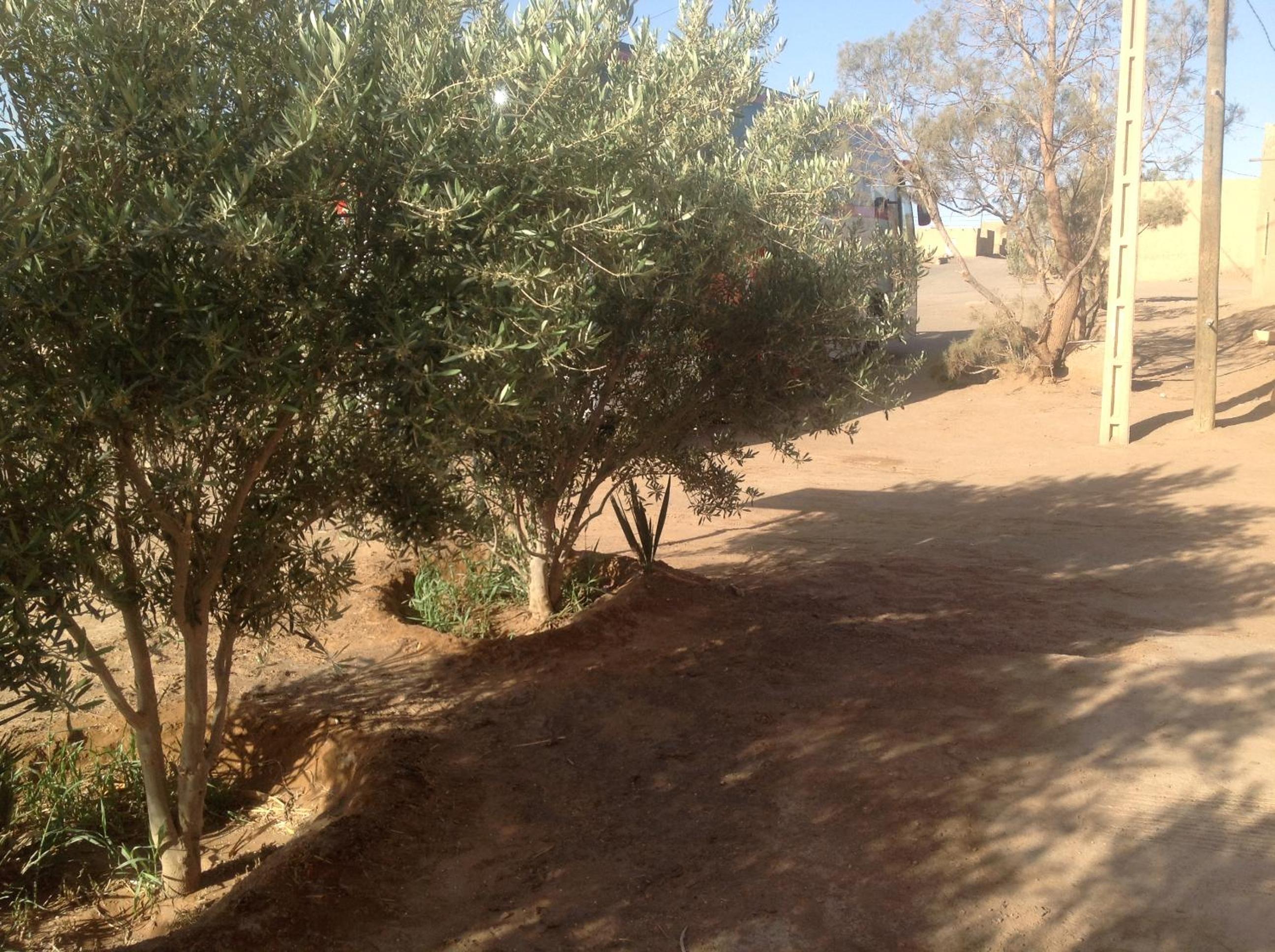 Photo 56